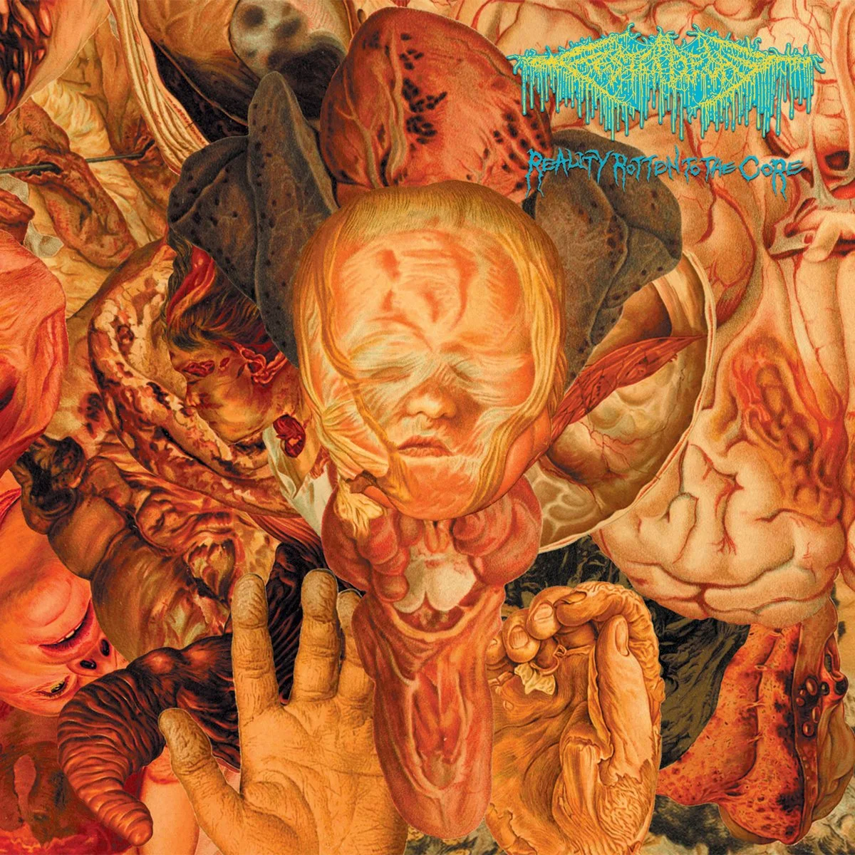 Carcass レコード GRIND CORE DEATH L Death/grind legends Carcass return after 18 years with glorious