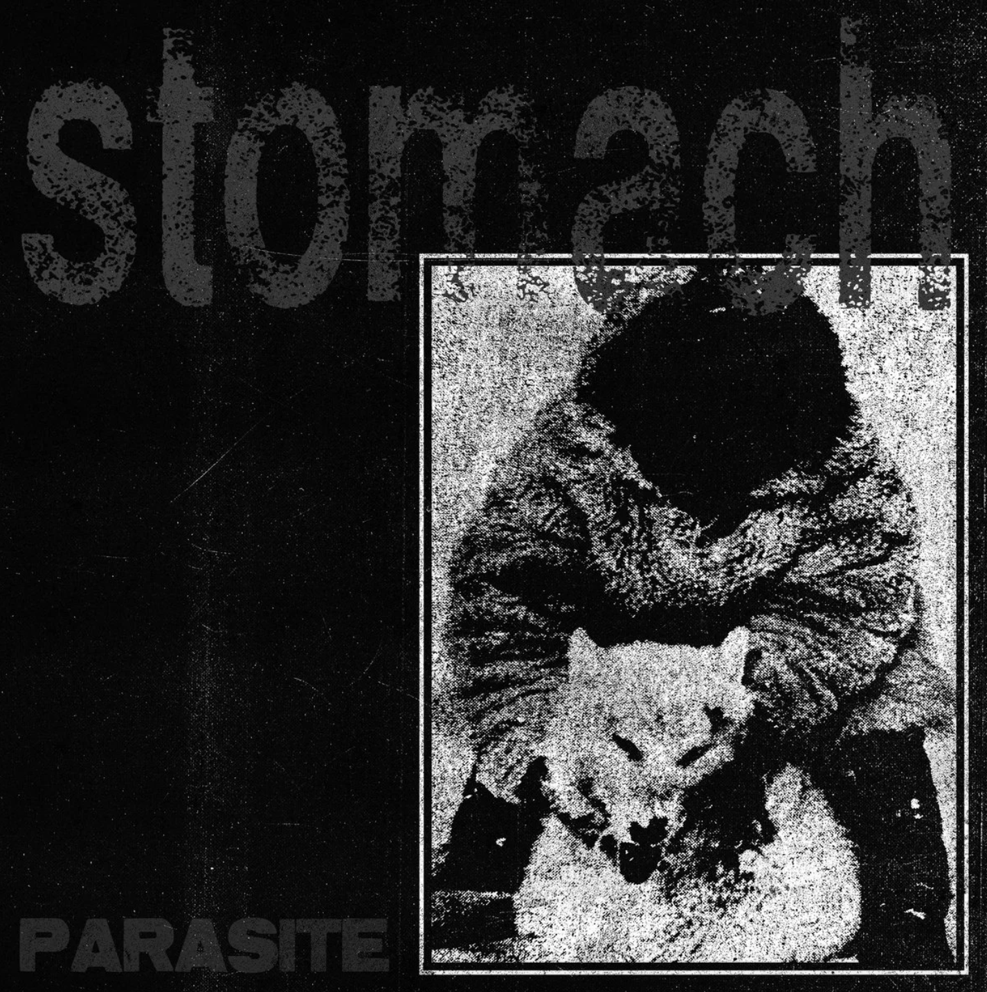 Album Review : Stomach - Parasite (2023)