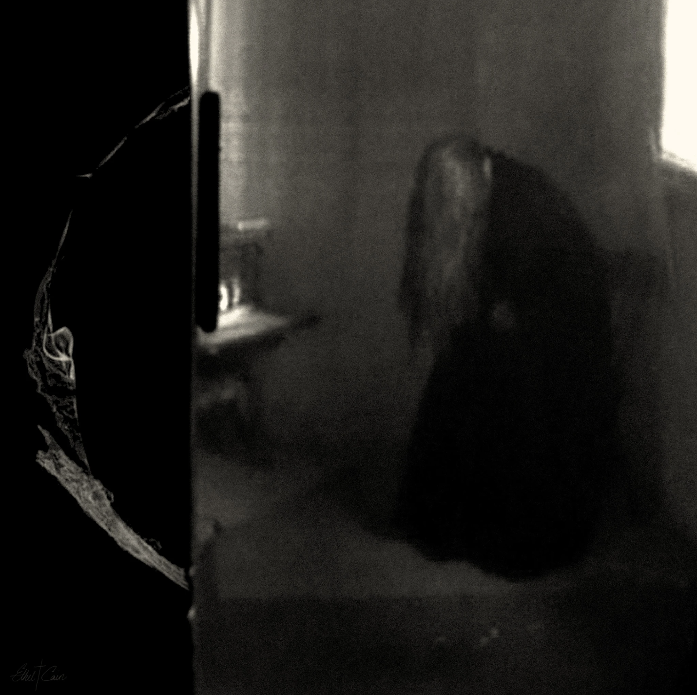 Album Review : Ethel Cain - Perverts (2025)