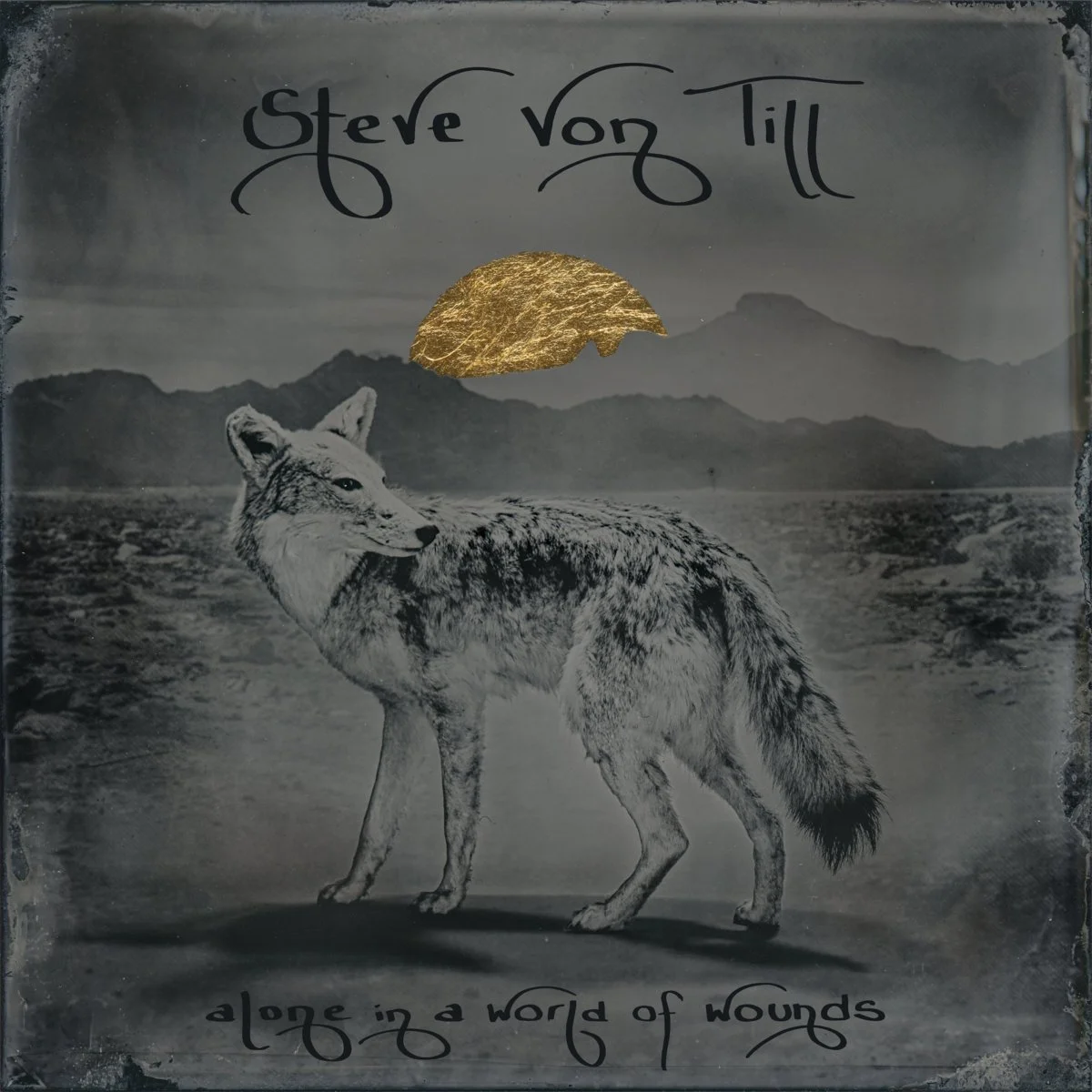 Album Review : Steve Von Till - Alone in a World of Wounds (2025)