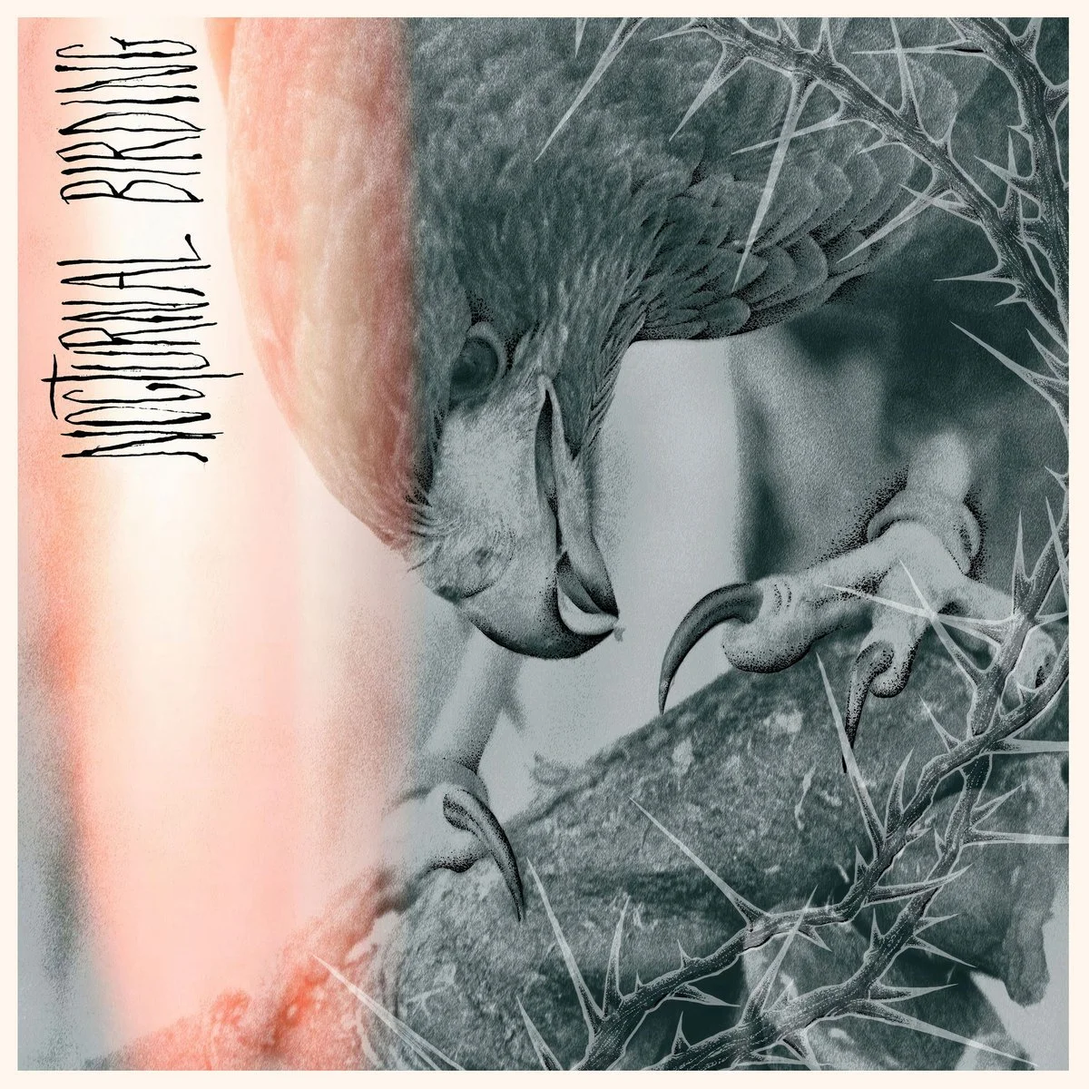 Album Review : Author &amp; Punisher - Nocturnal Birding (2025)