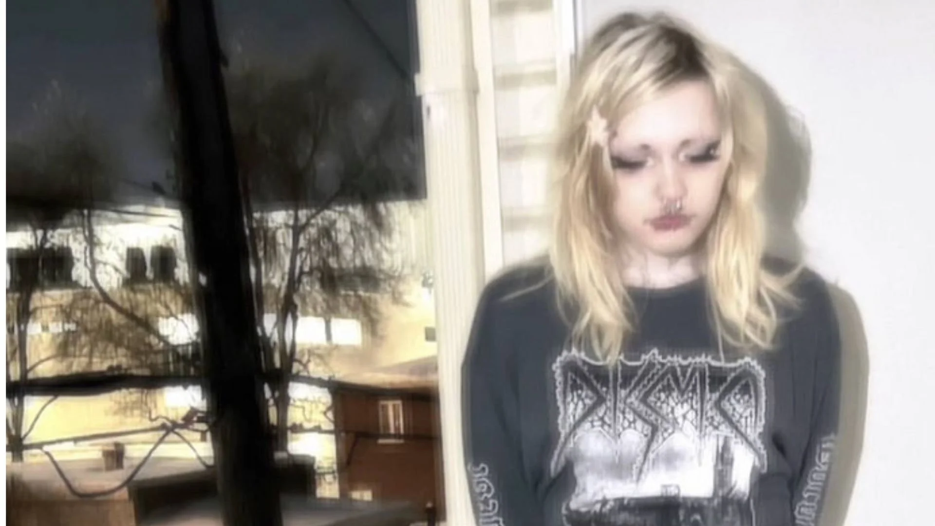 Inventing A Language For The Heart : A Conversation With Alice Simard 