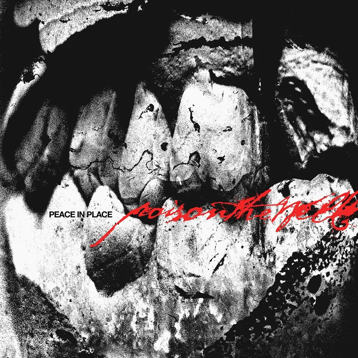 Album Review : Poison the Well - Peace in Place (2026) 