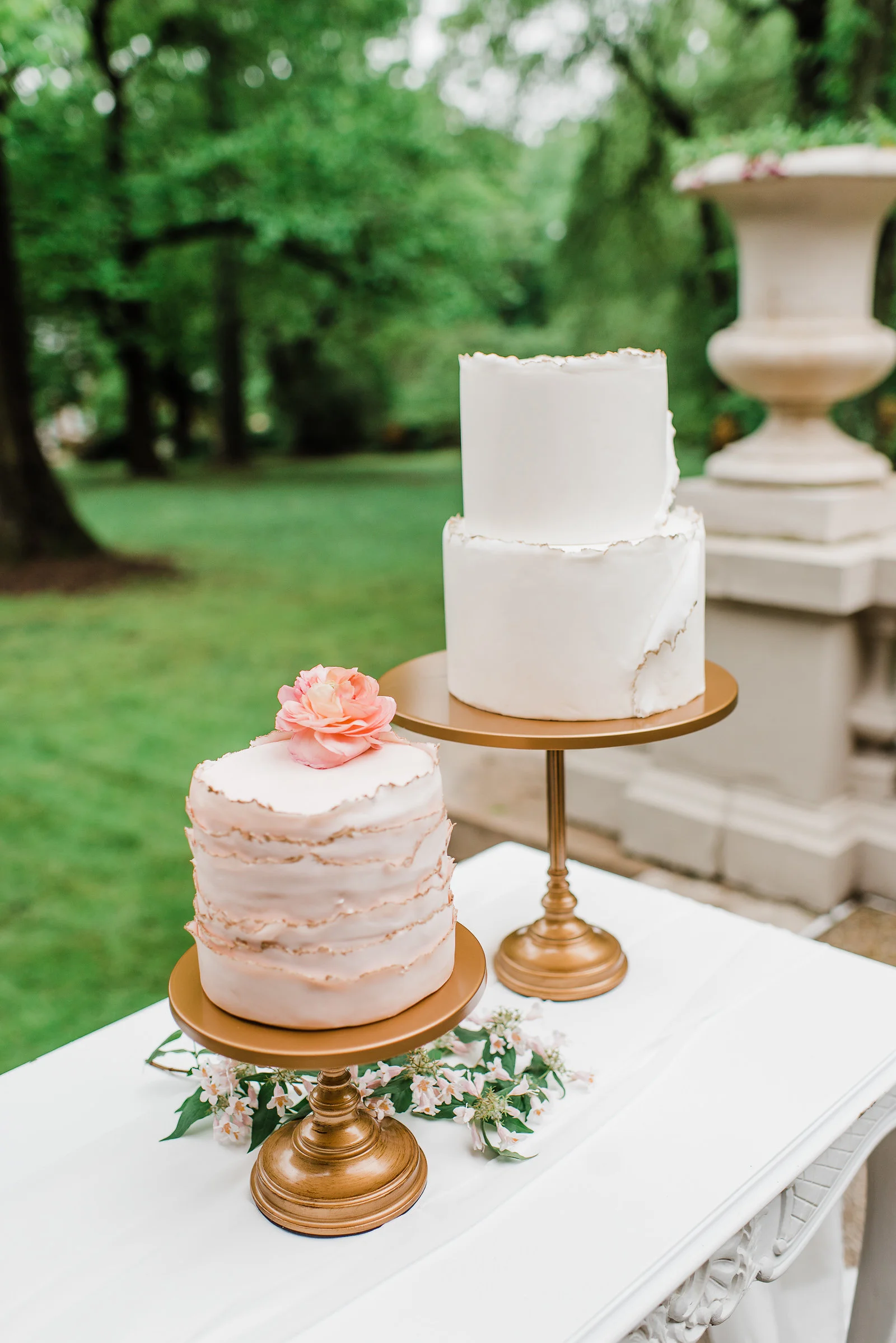 The Cake Studio Baltimore Bakery