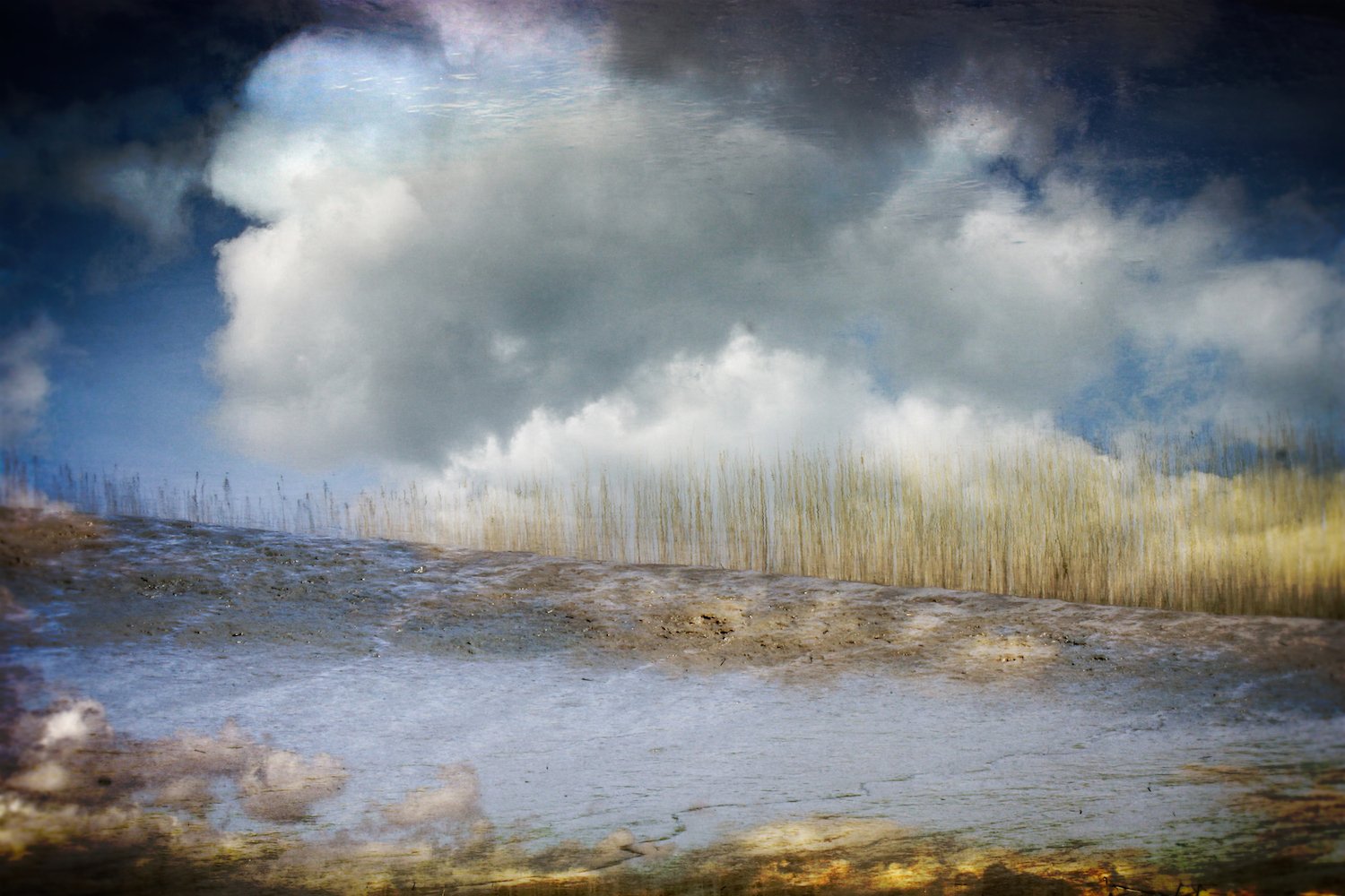 Flight web banner.jpeg