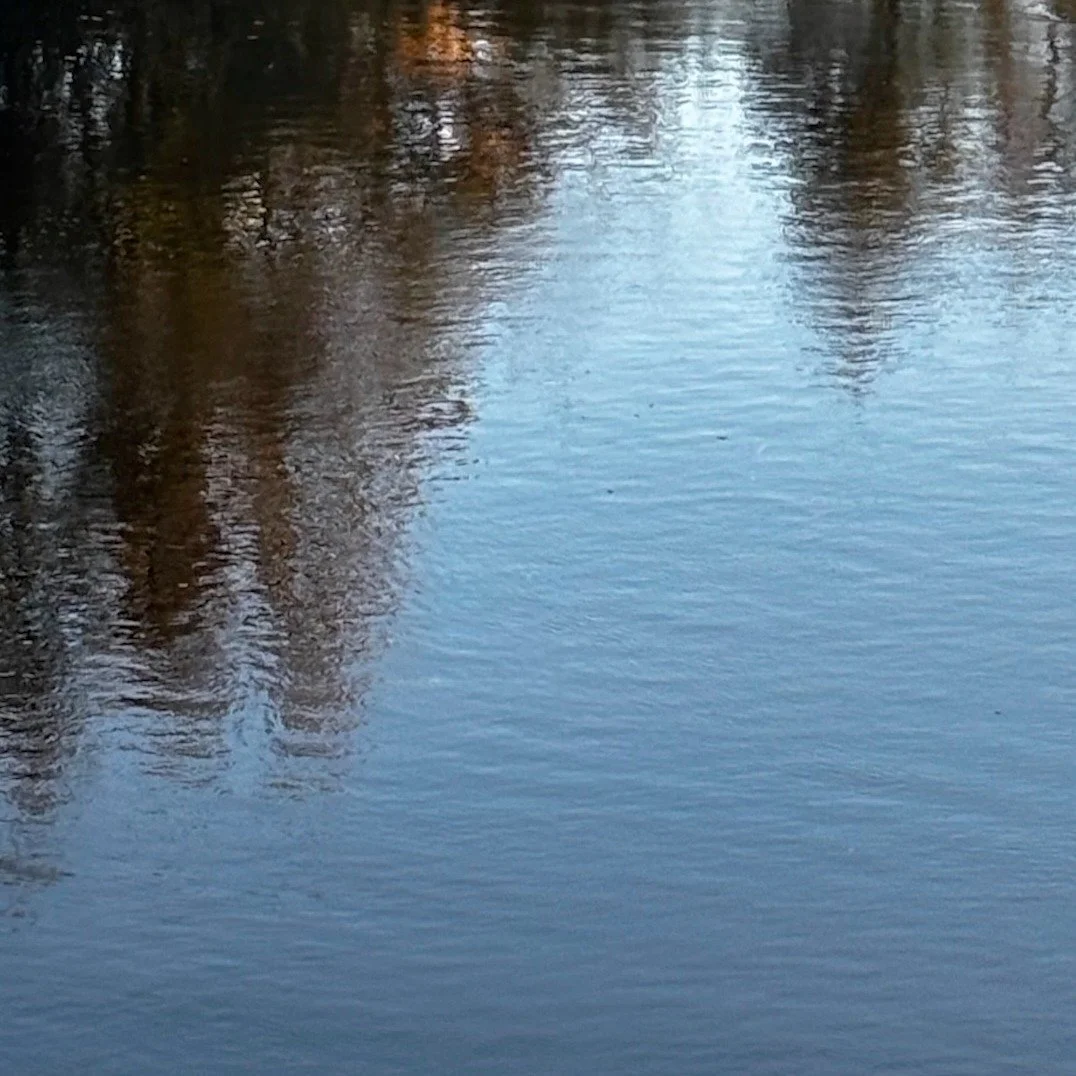 Autumnal scenes from the River Dee at dusk. Mixed feelings - love the light, the colours, the glow. Not so keen on the day moving to night so early. Why does it take me by surprise every year !? 😱