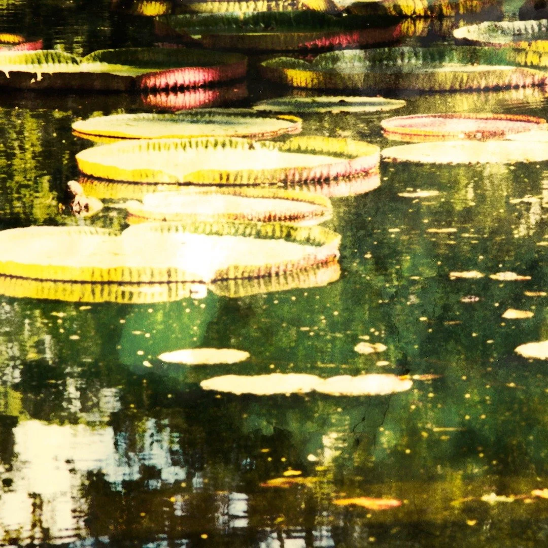 The lastest addition to my Equilibrium series. This is Equilibrium III. I must be pining for that summer light!