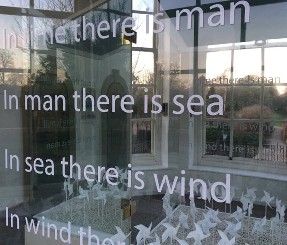 in wind 5134 sm.jpg