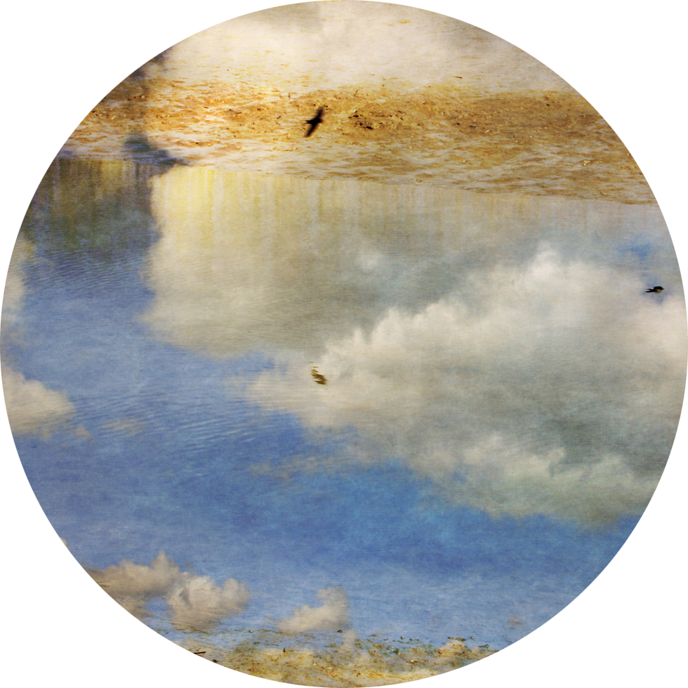 Trip the light Fantastic orb.png