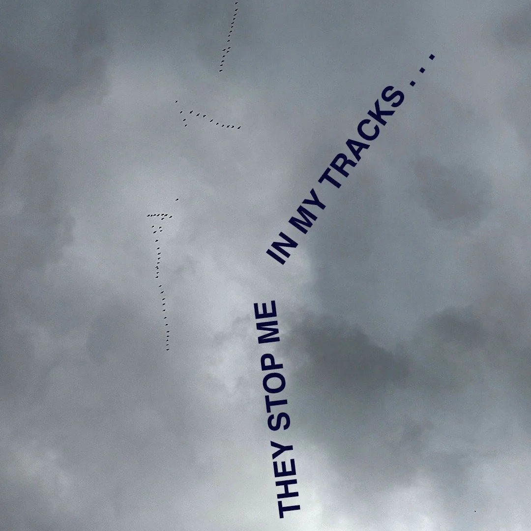 Am I the only one who is in awe of seeing and hearing the geese on their journey south? I always stop to listen and watch when they are overhead as it's as if they are telling me something.
And how do they know that the weather is turning cold in a f
