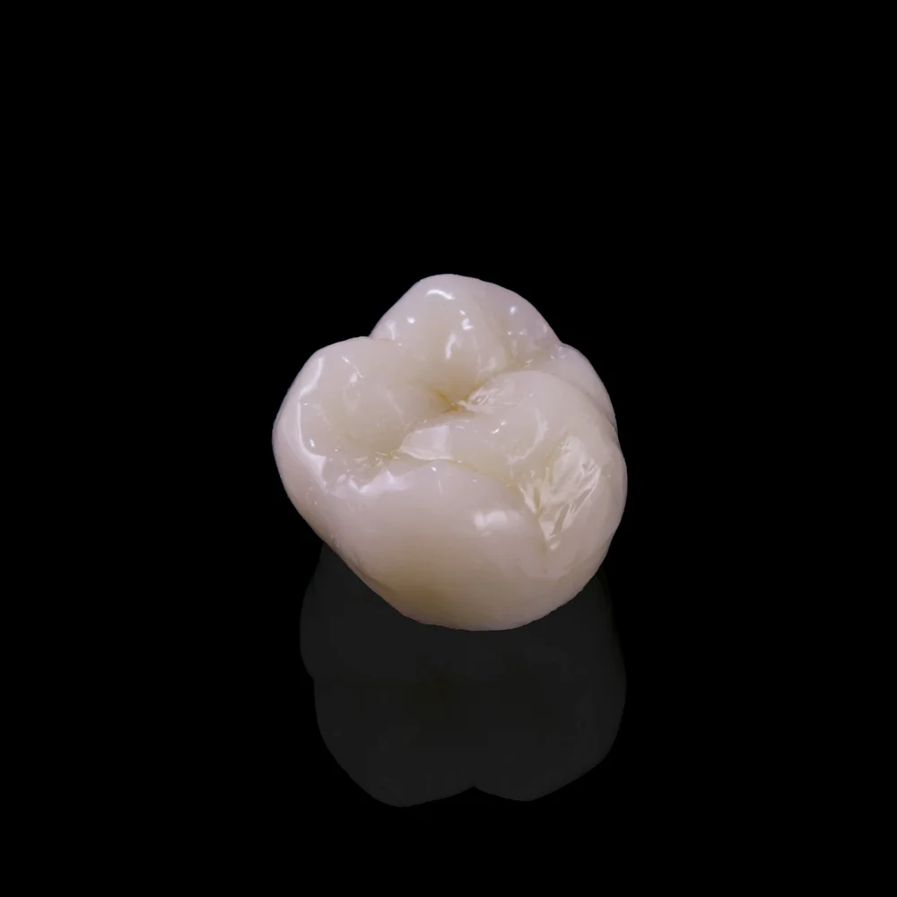 Product Catalog — MicroDental Laboratories