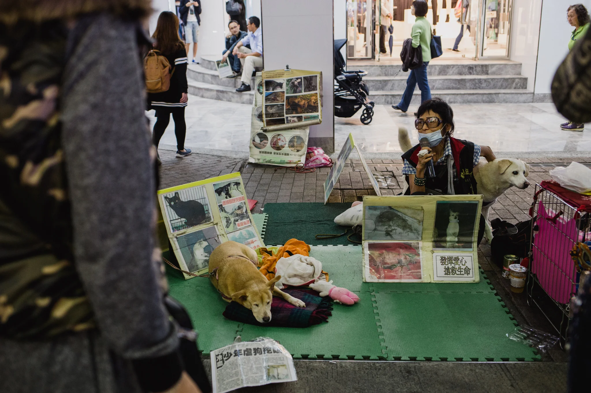Taiwan2016-39.jpg