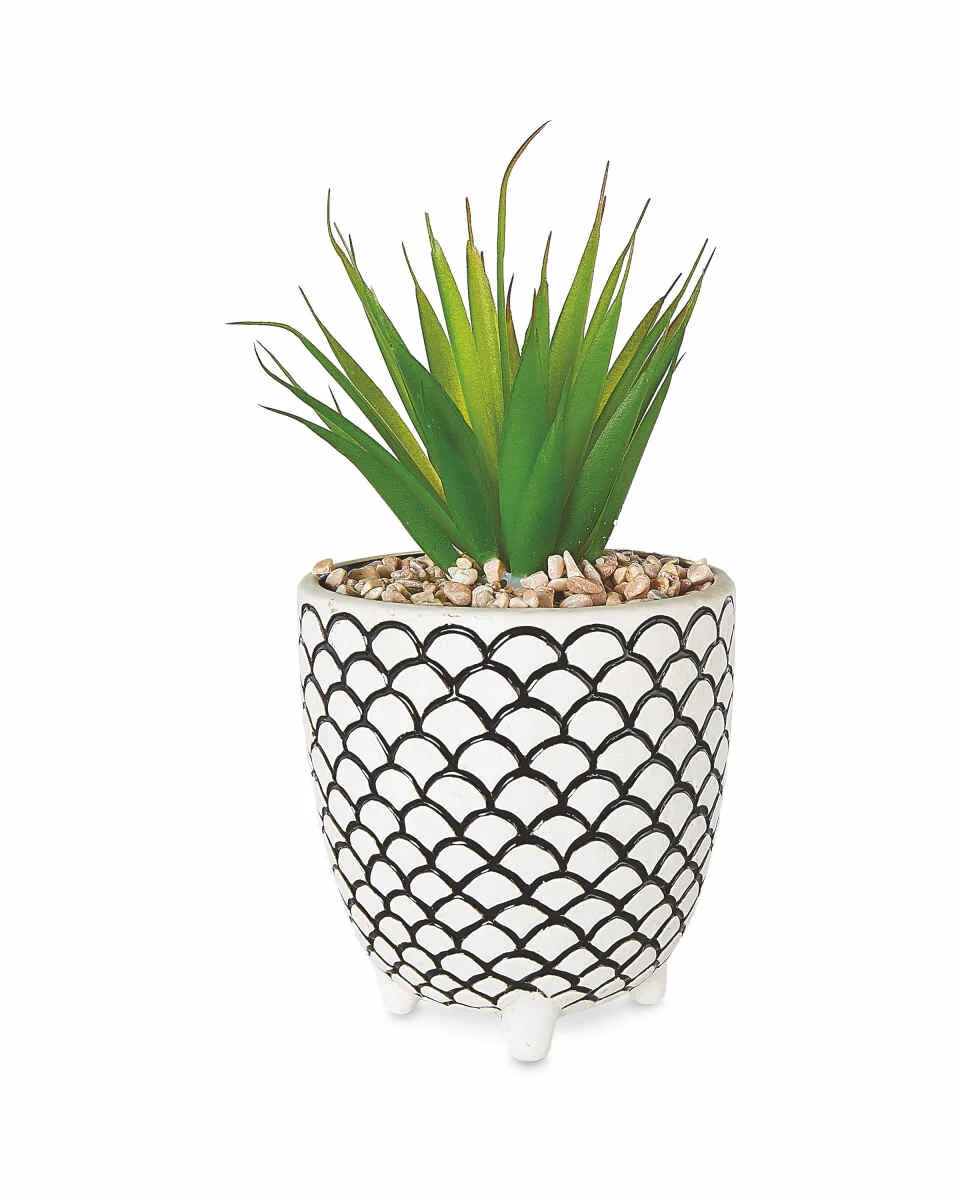 Scale-Patterned-Pot-Plant-A.jpeg