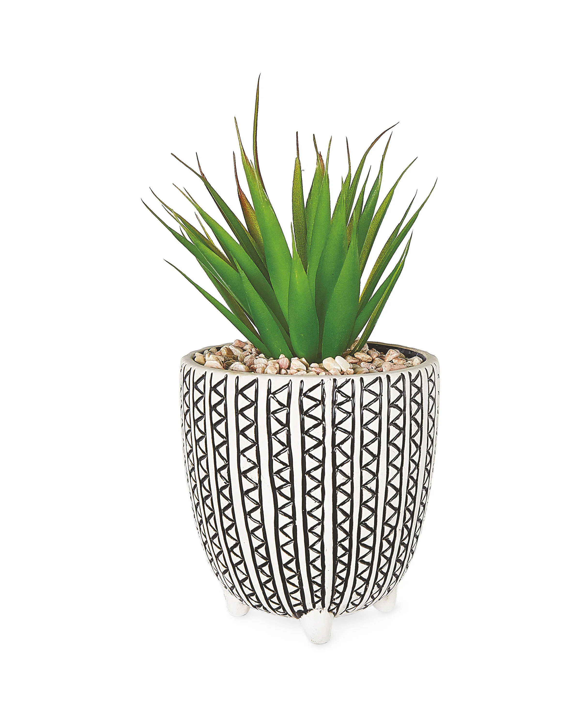 Tribal-Patterned-Pot-Plant-A.jpeg