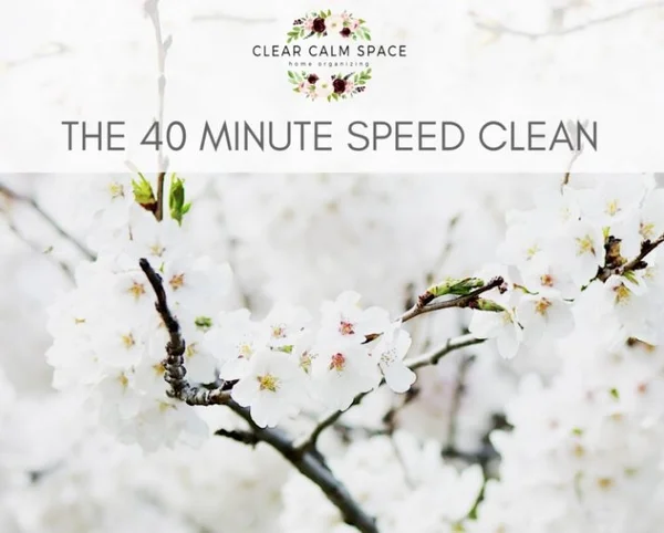 how-to-clean-your-house-for-guests-fast.jpg