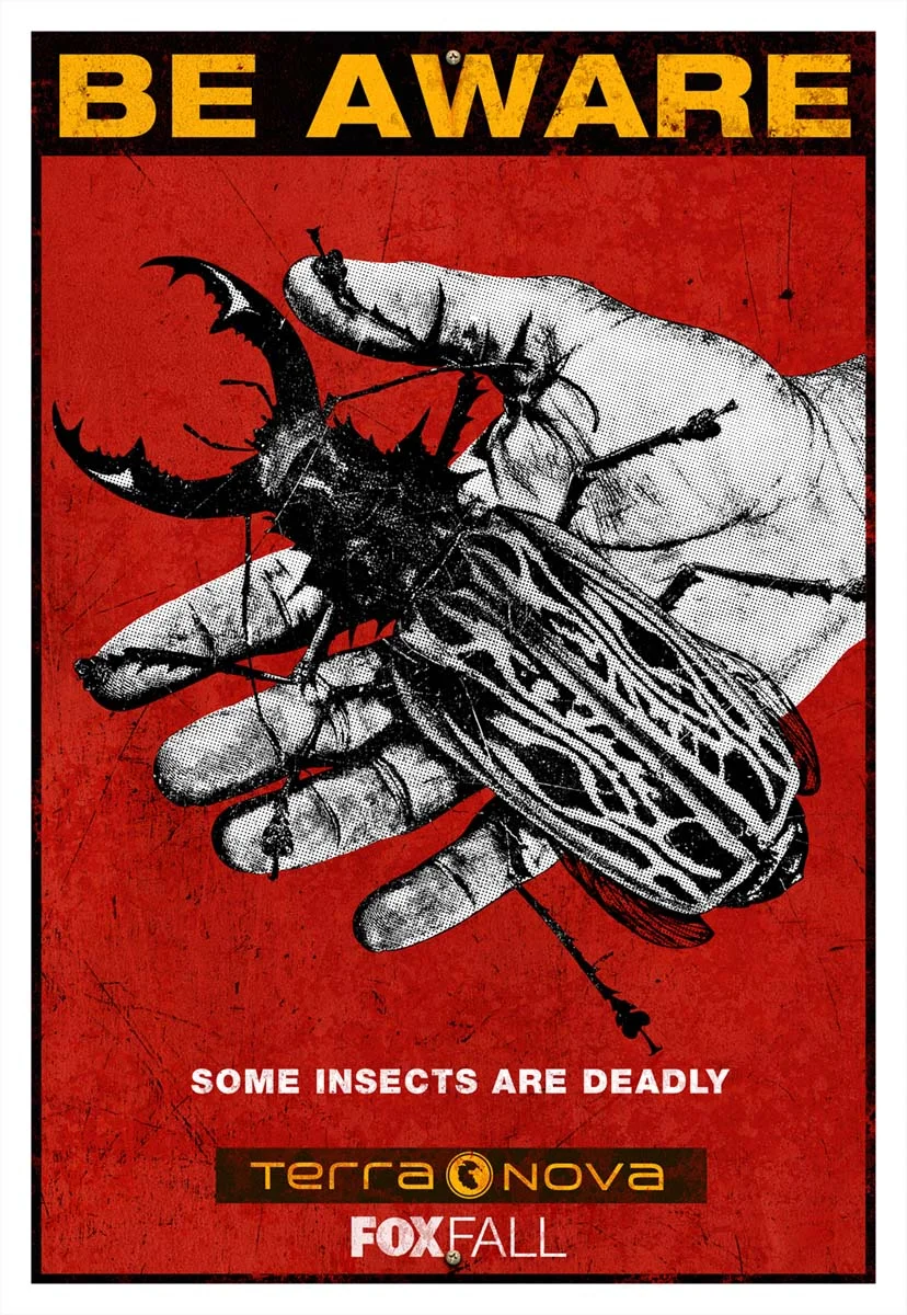 TERRA_SIGN_Bug_sml.jpg