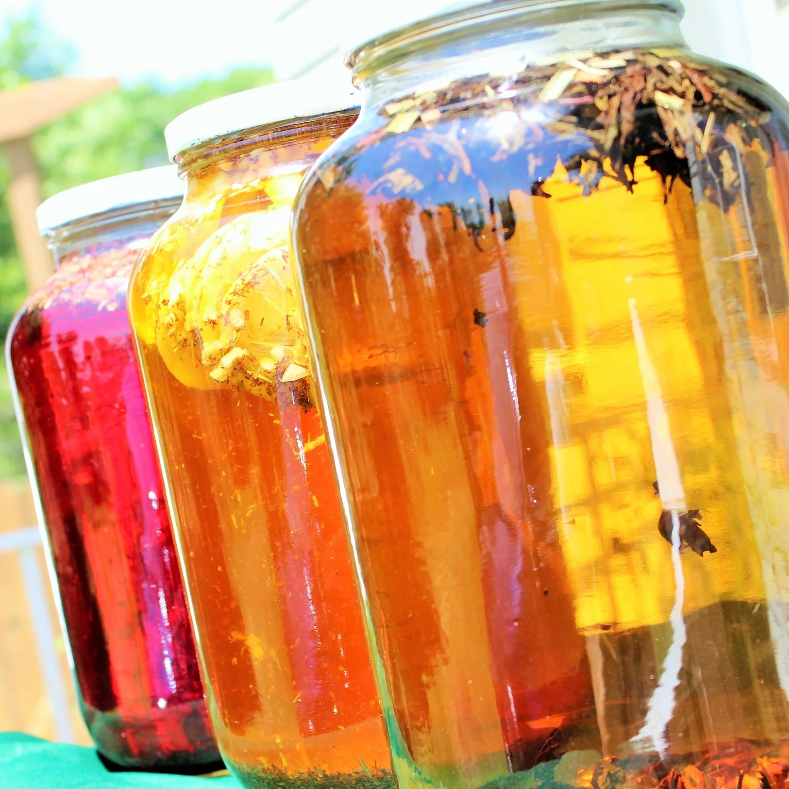6 Steps on How to Brew Delicious Sun Tea