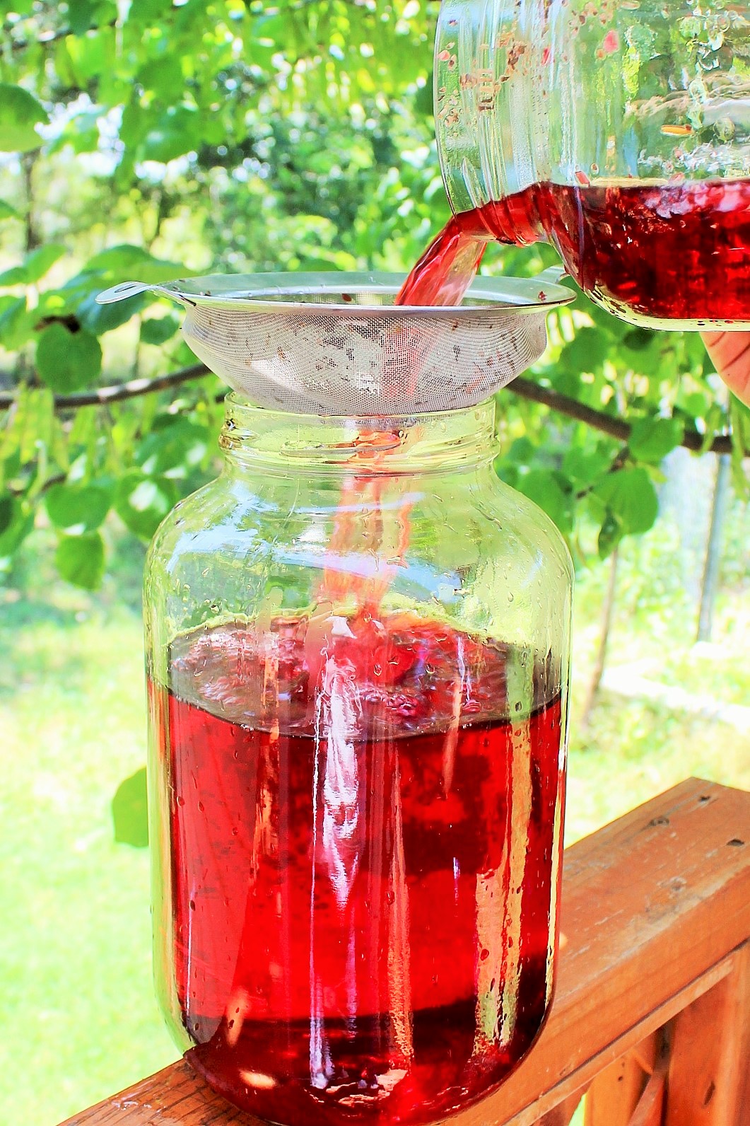 Straining Hibiscus Twist Sun Tea.JPG