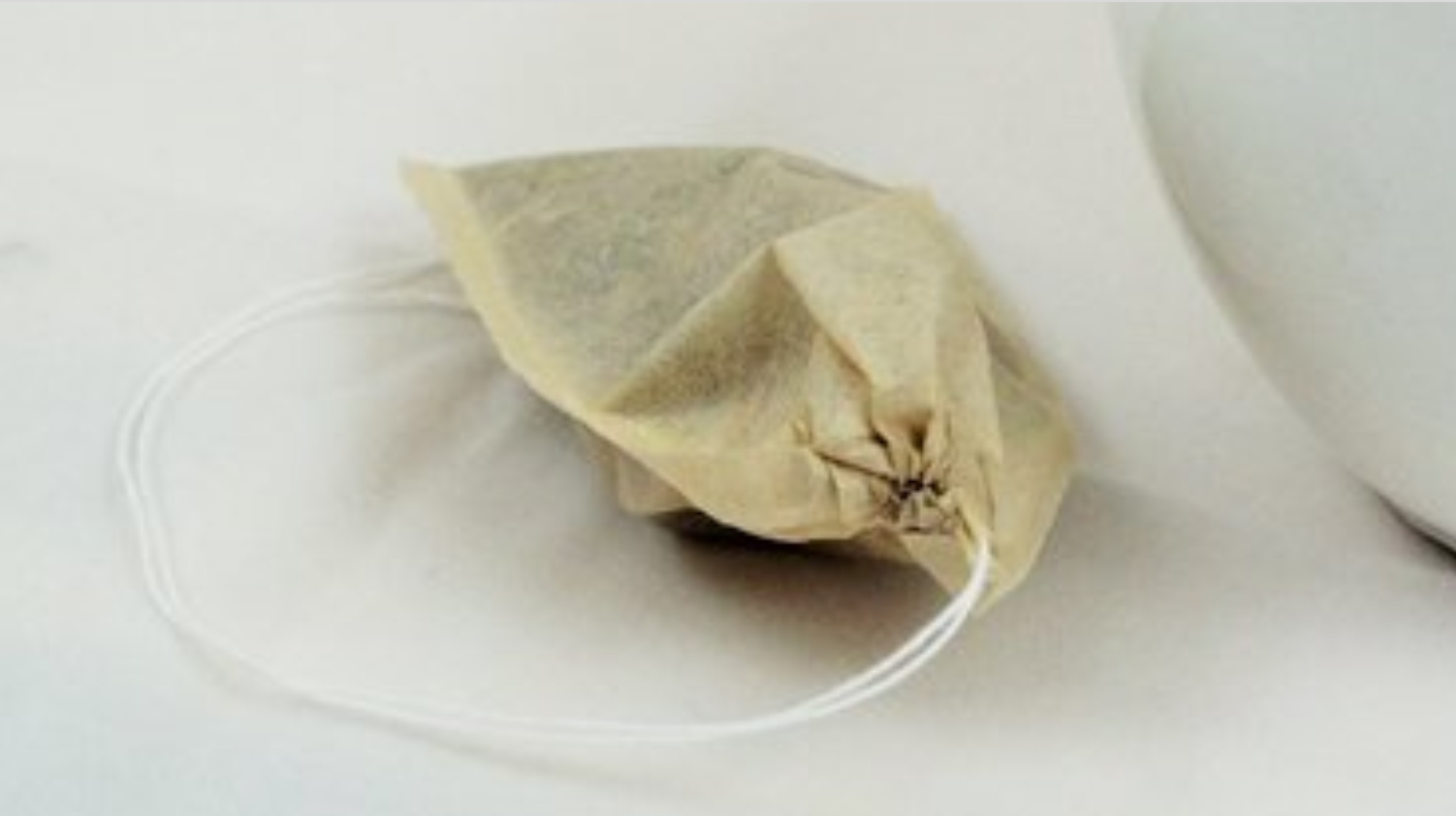 tea filter bag.jpg