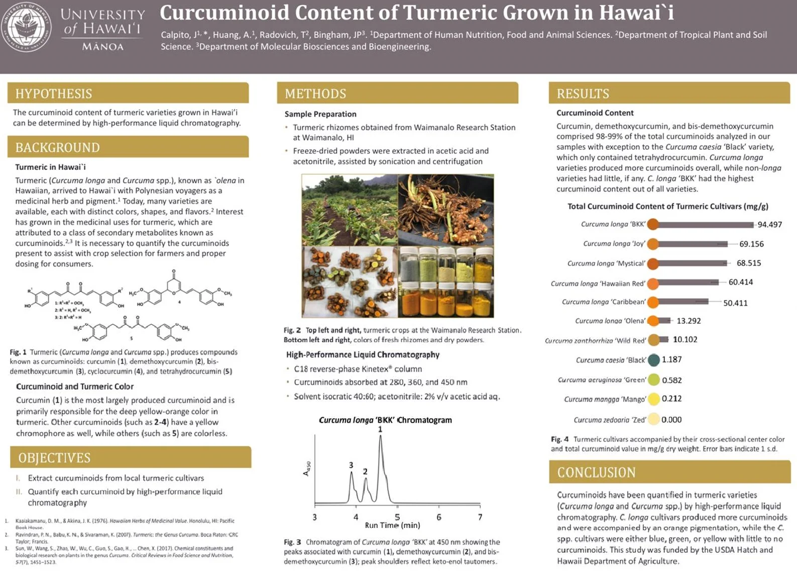 turmeric curcuminoid content.jpg