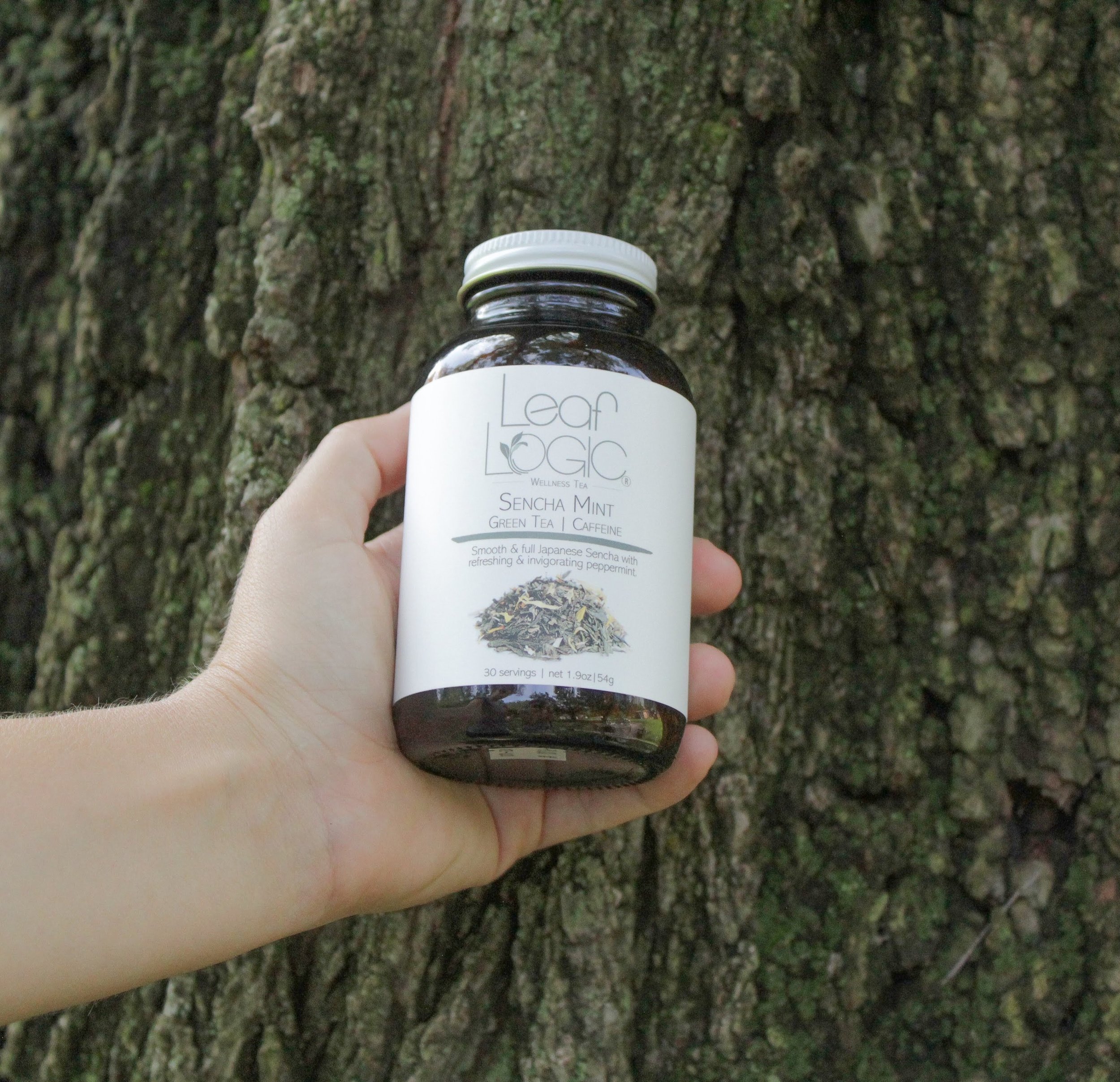 Sencha Mint with tree and hand model amber jar.jpg