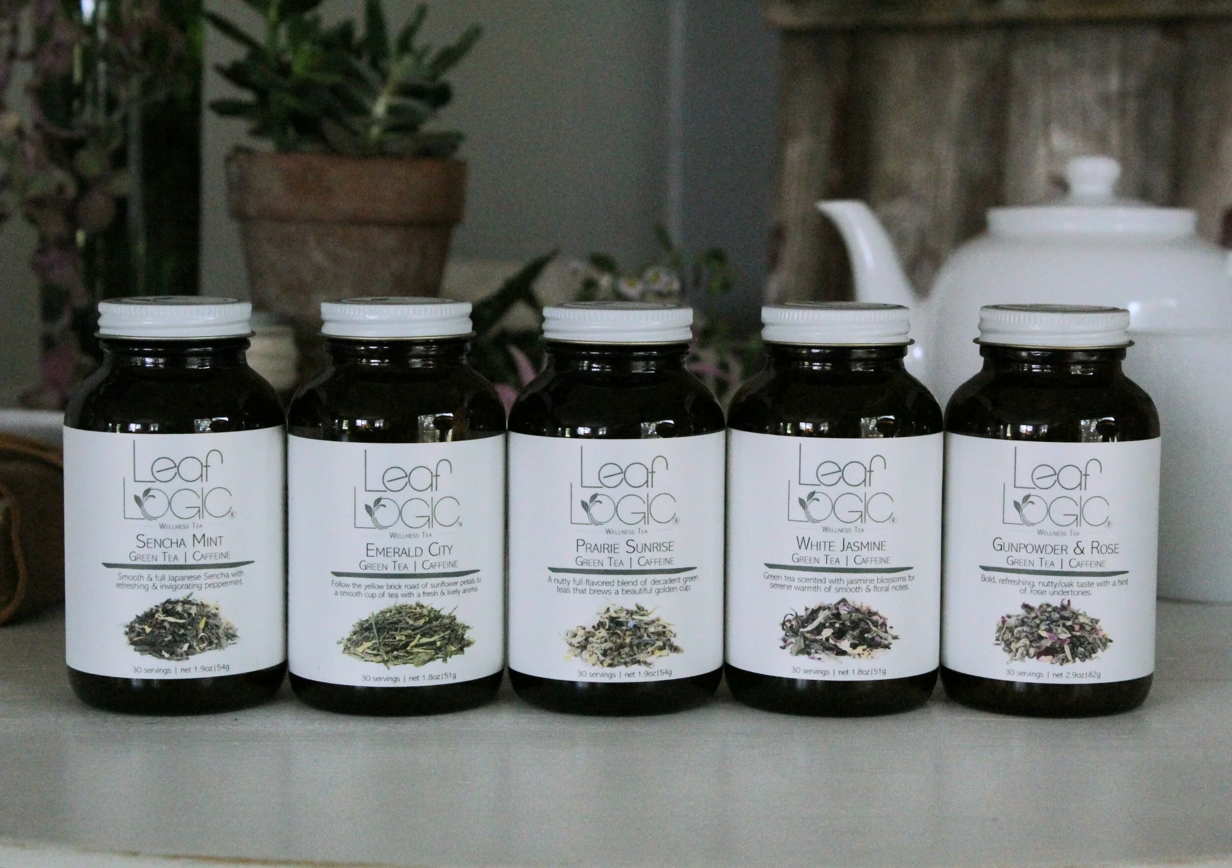 Green Tea Team  Variety Pack.jpg