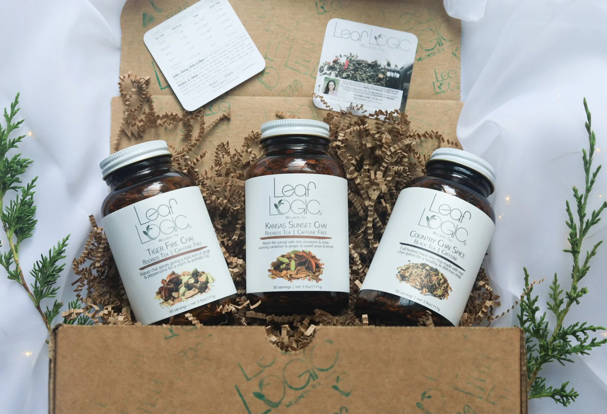 Leaf Logic Holiday gift guide.JPG