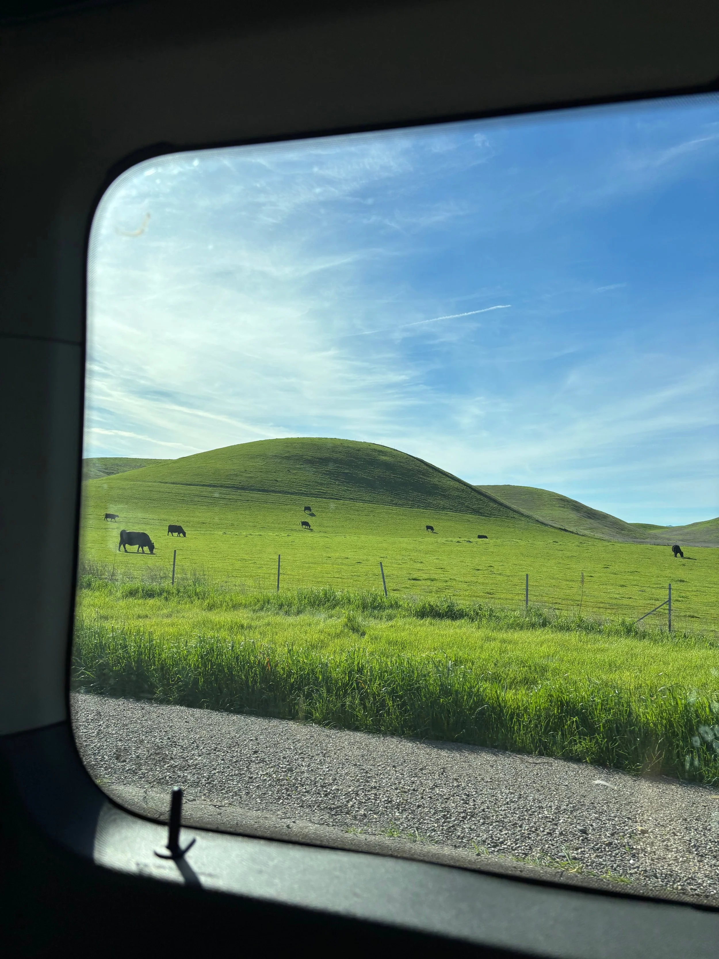 feb tour part 2 - 21 of 31.jpeg