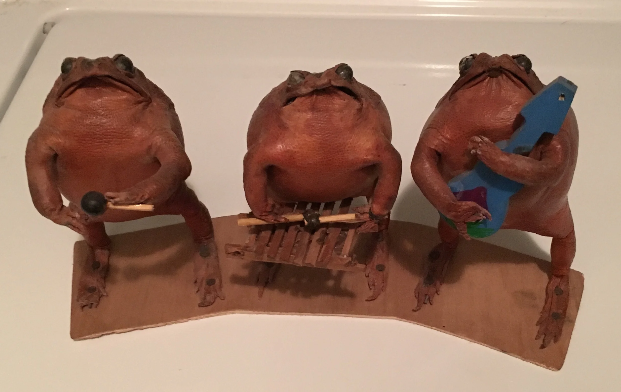 Frog Band