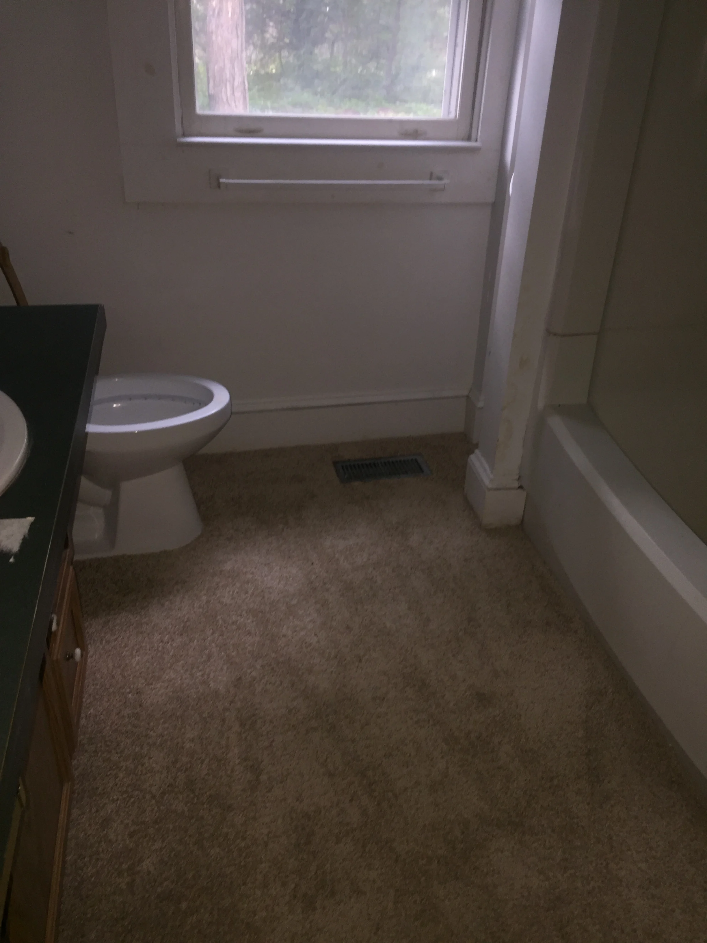 Carpet in the BATH??