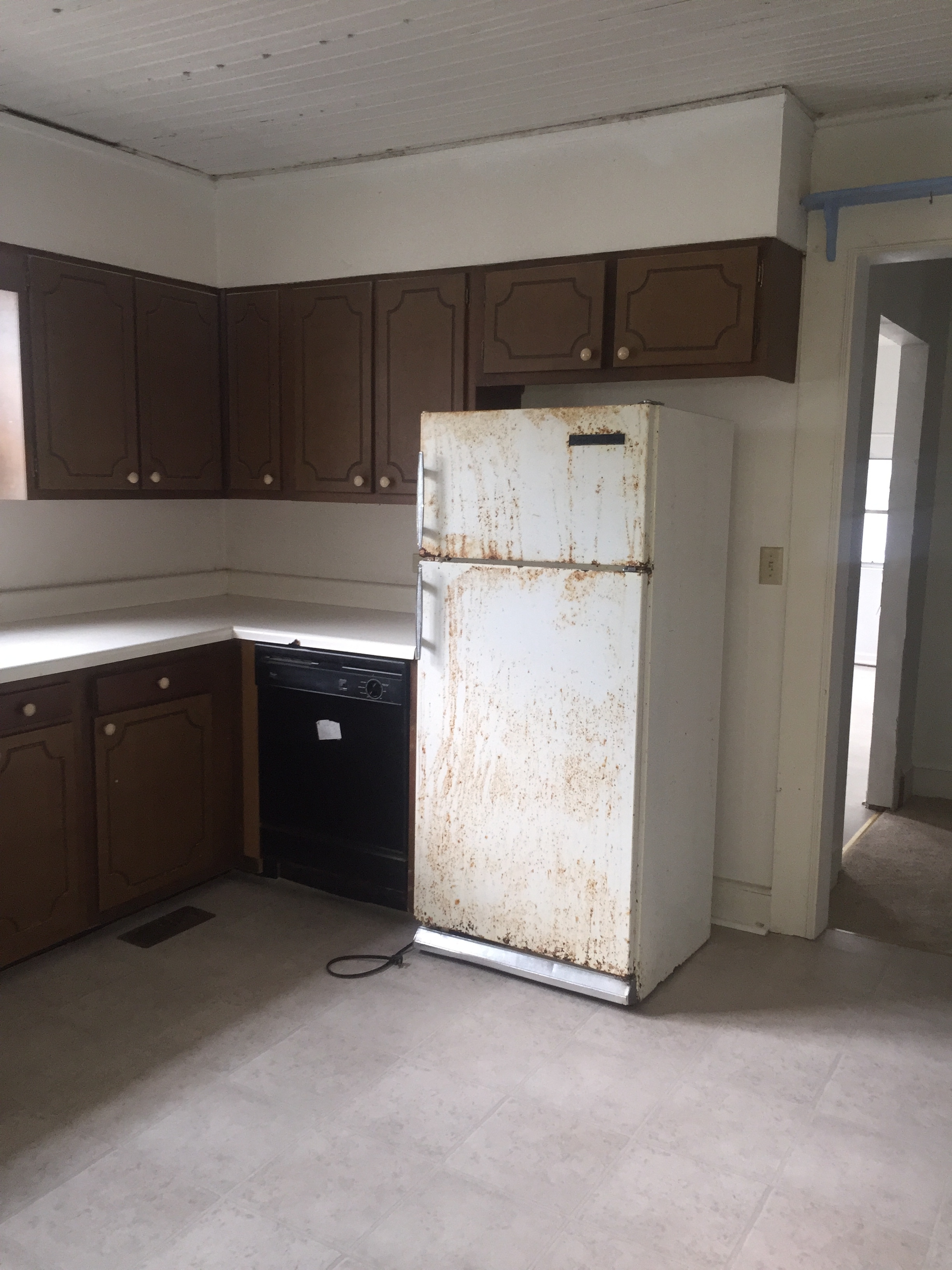 We're leaving the Fridge!