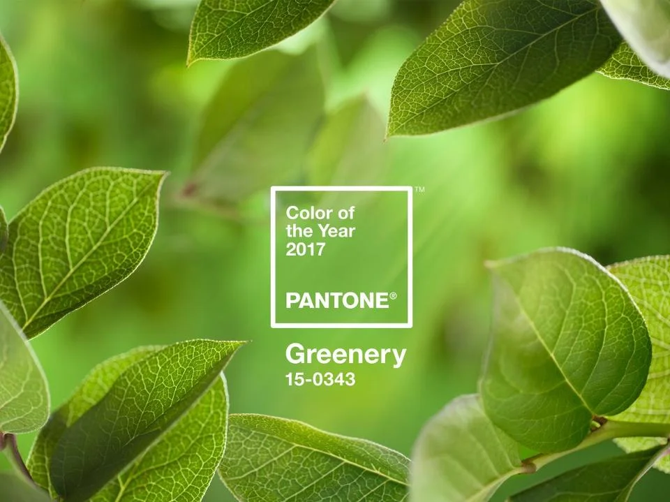 Pantone Color of 2017 - Greenery