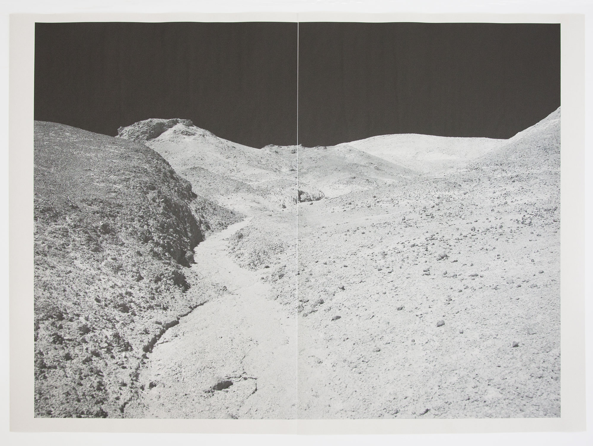   DV_8283 , unique diptych pigment print on newsprint,&nbsp;36 x 24 inches, 2015 