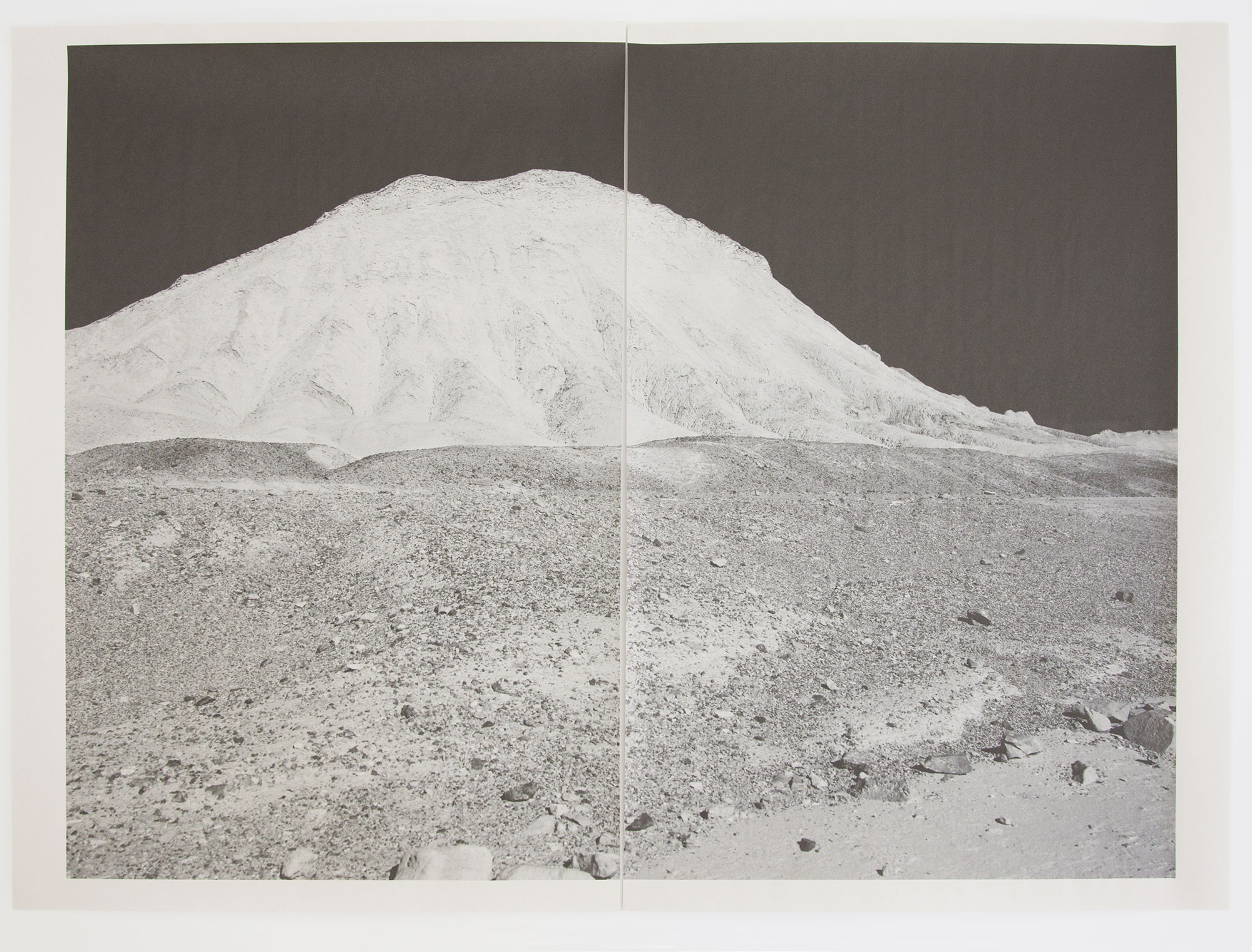   DV_8335 , unique diptych pigment print on newsprint, 36 x 24 inches, 2015 