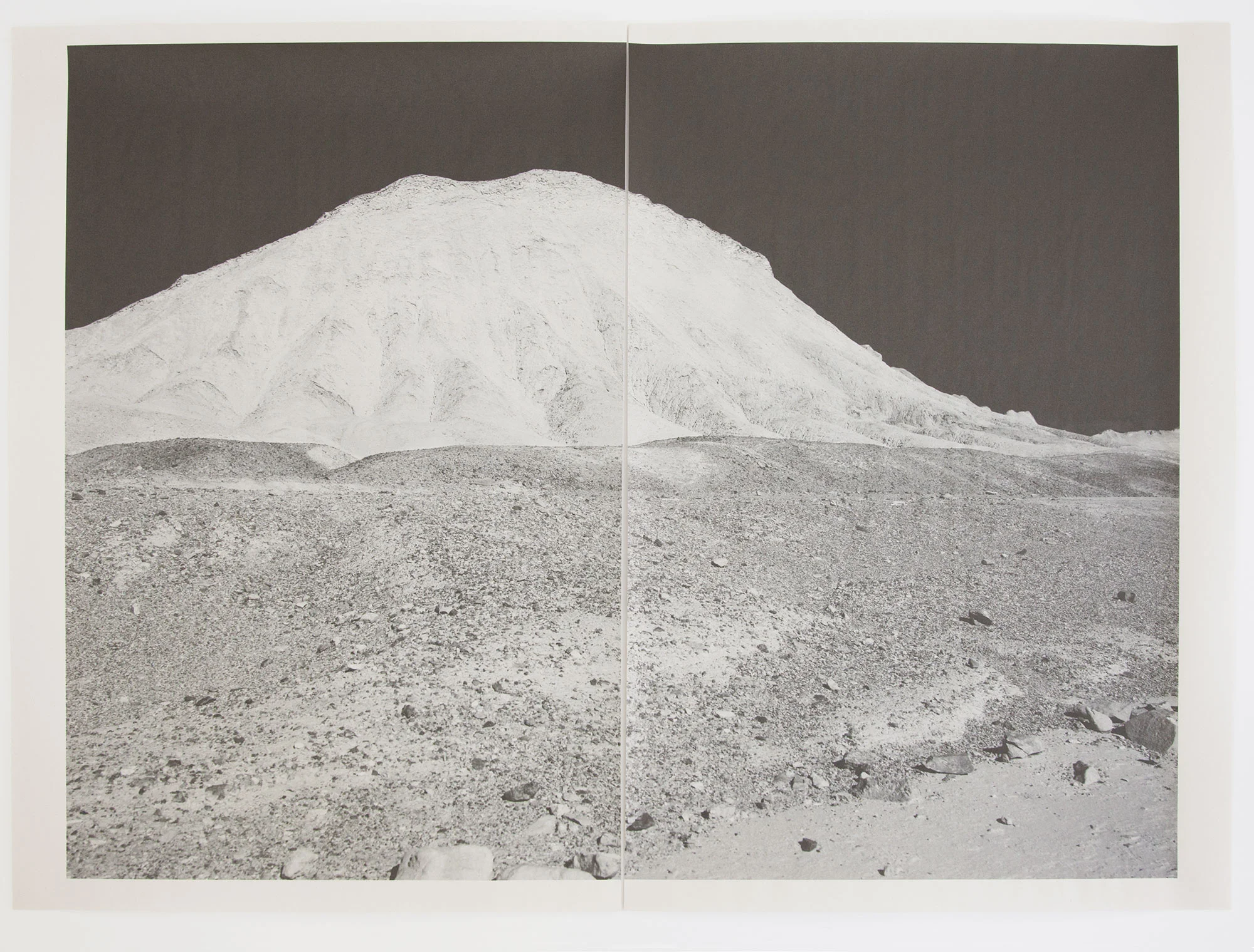 DV_8335 , unique diptych pigment print on newsprint, 36 x 24 inches, 2015