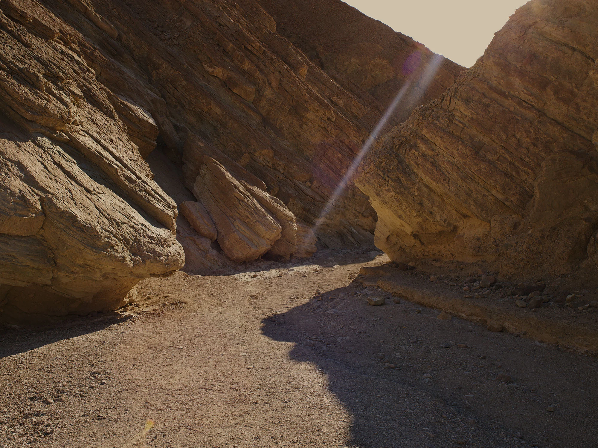 DV_8395 , unique archival pigment print, 27 x 36 inches, 2015