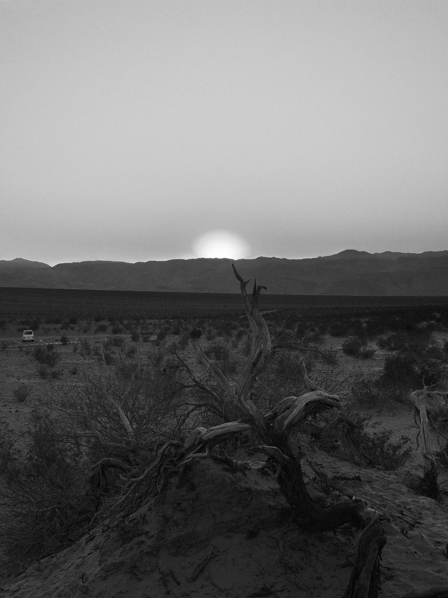 DV_7266 , unique archival pigment print, 18 x 24 inches, 2015