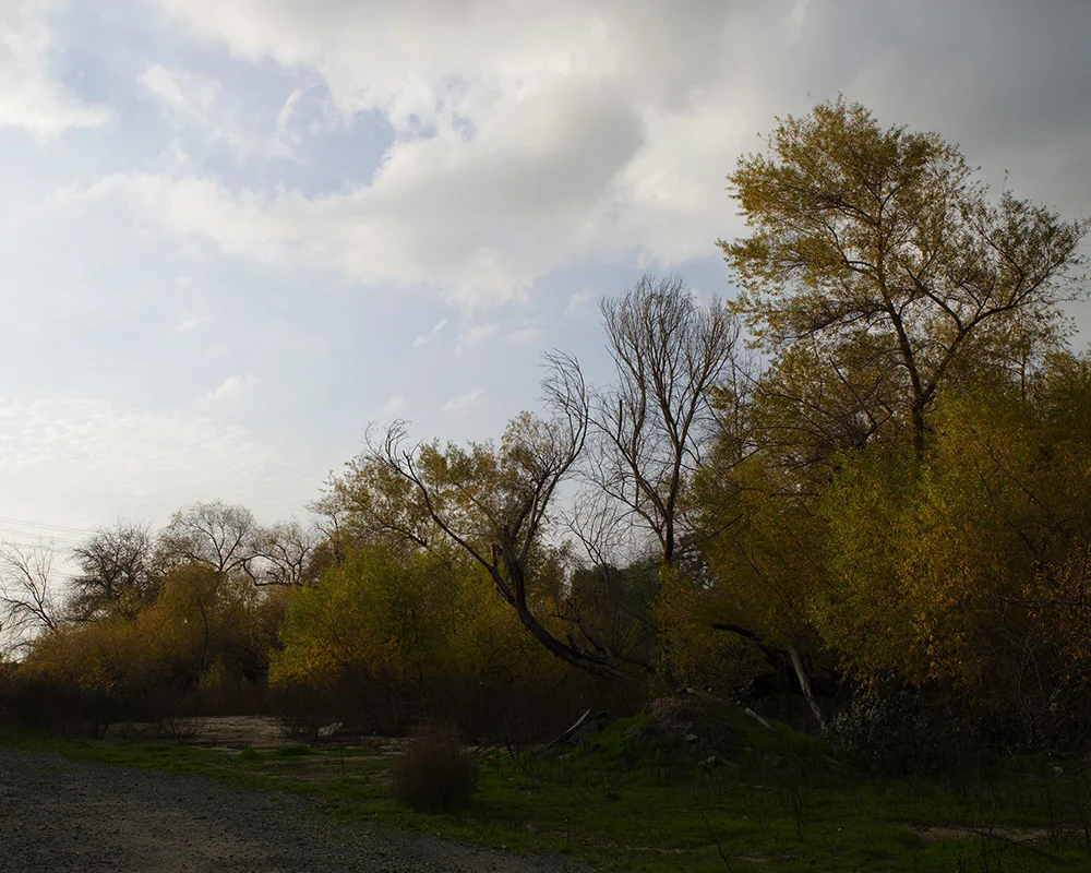 Riverside A1_4981 , archival pigment print, 2010