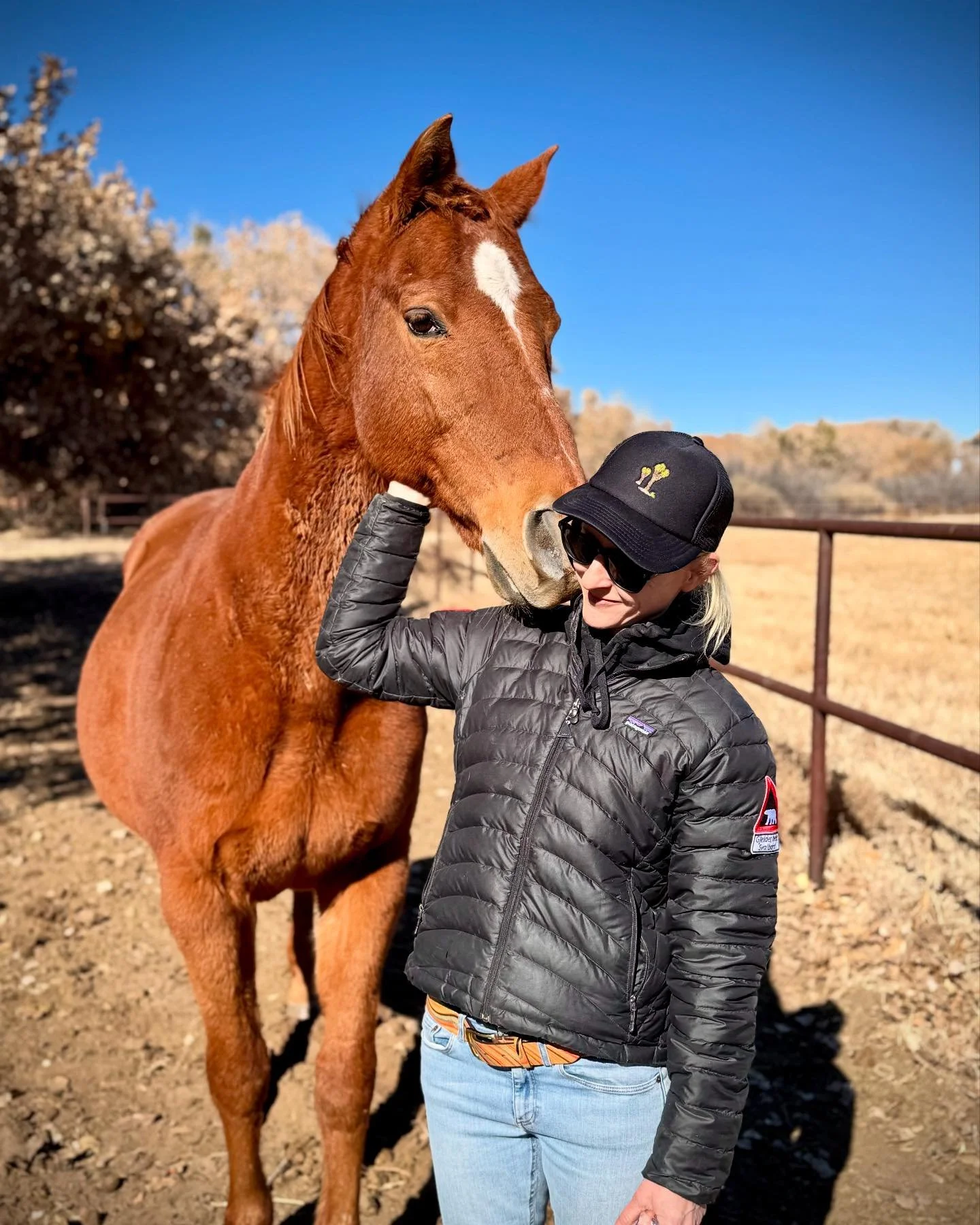 Retired Roo update: 22, furry fat and happy. 🧡 May we all be so lucky.
