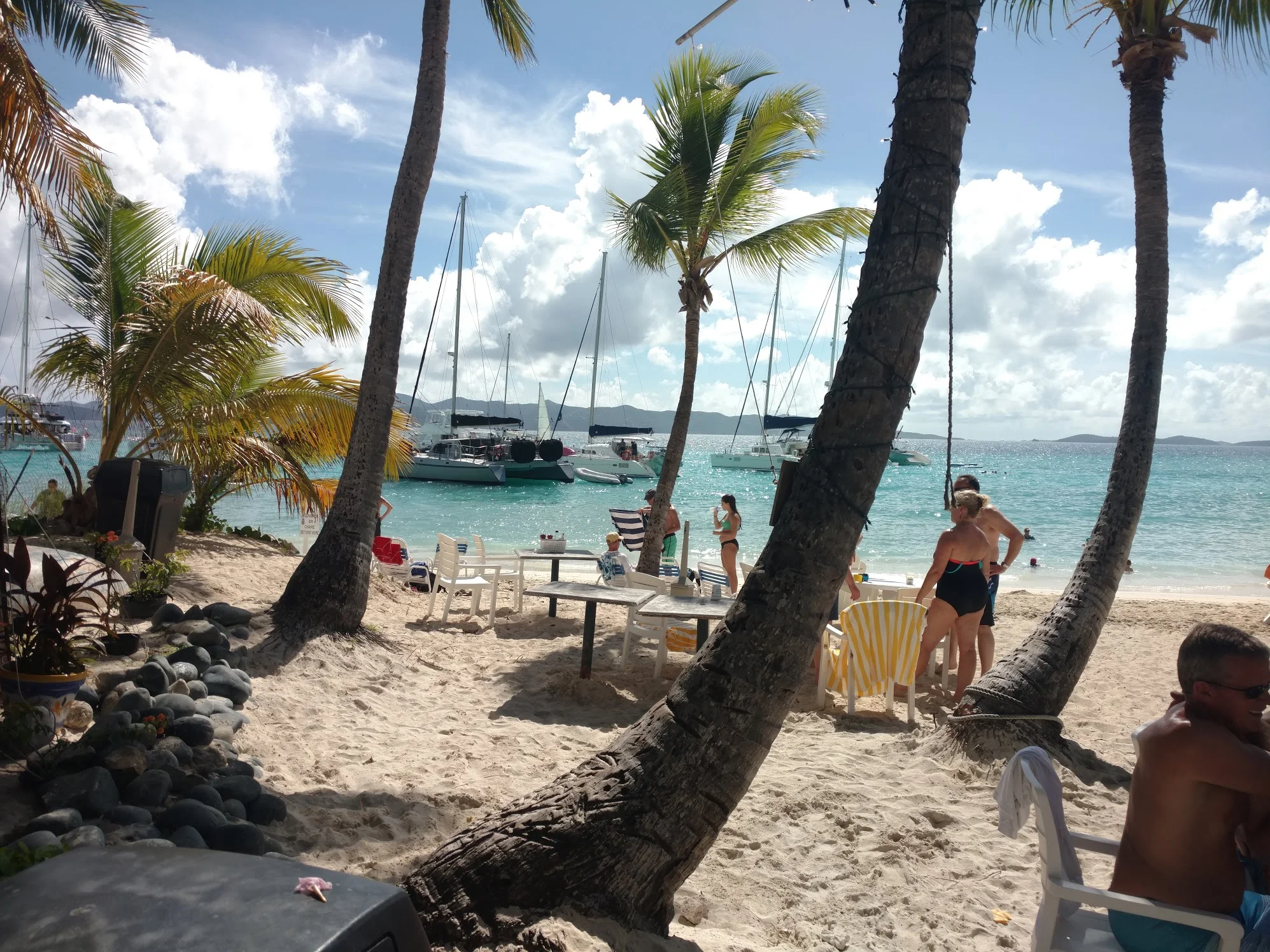 IMG_20151127_114136793.jpg
