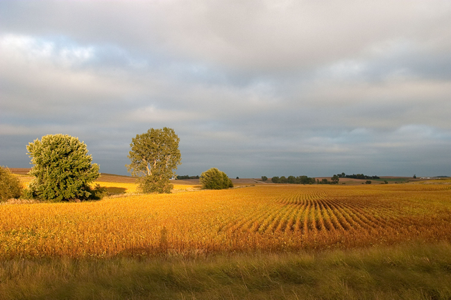 Iowa.png