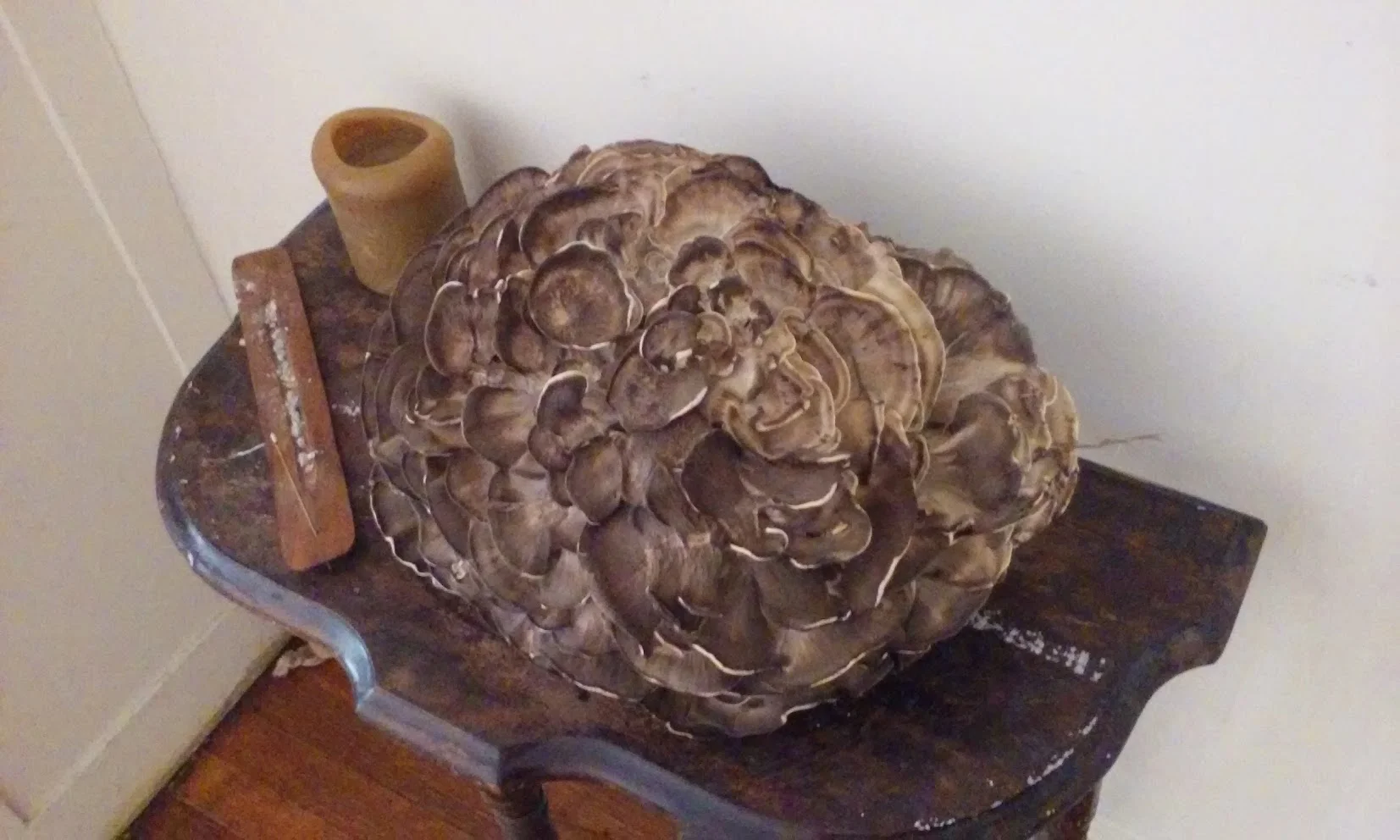 20150903_121314.jpg