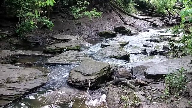 Creek