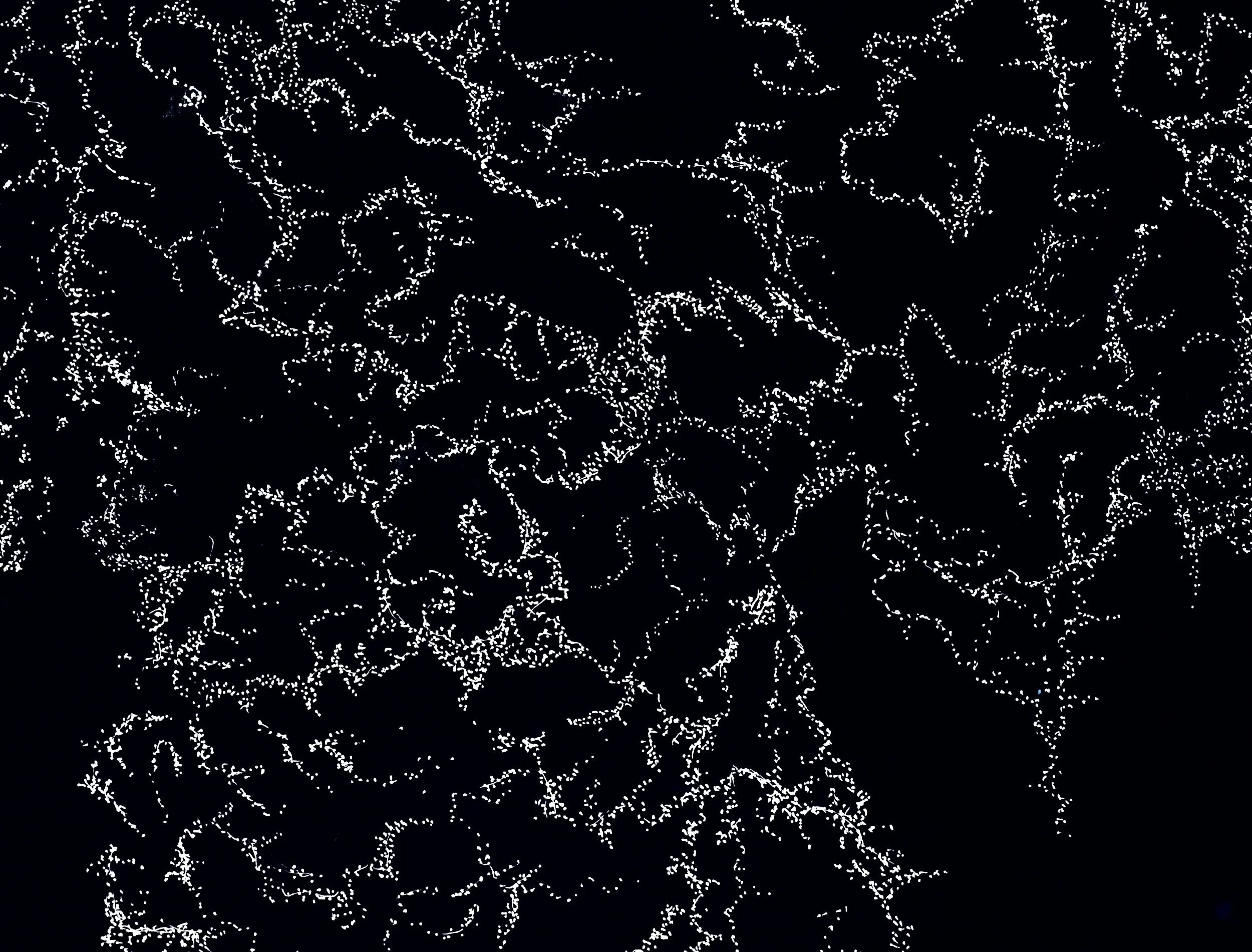 05DotBlack.jpg