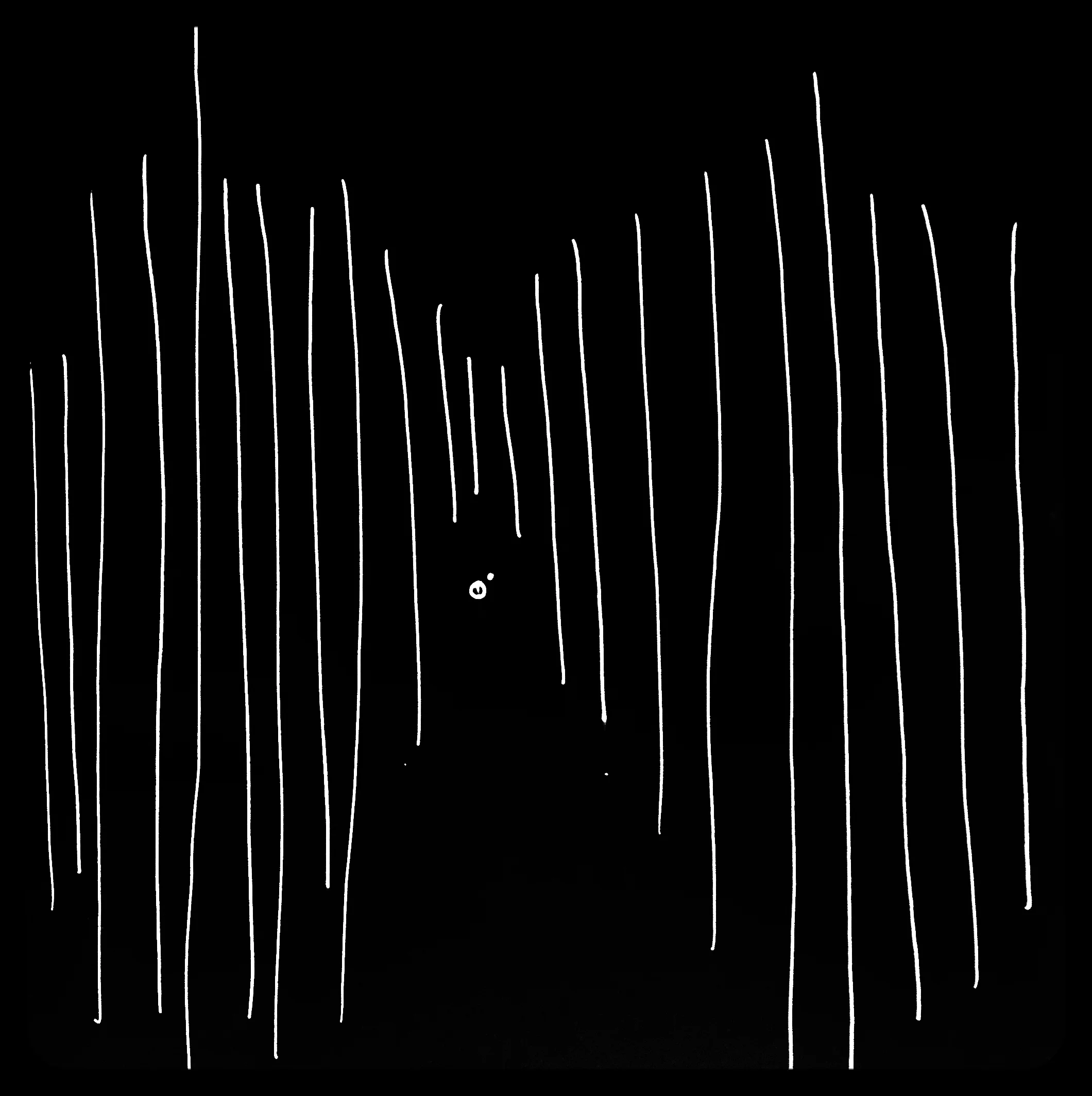 THE WORLD IN BLACK AND WHITE : PART TWO "GOING , GETTING GONE "&nbsp;