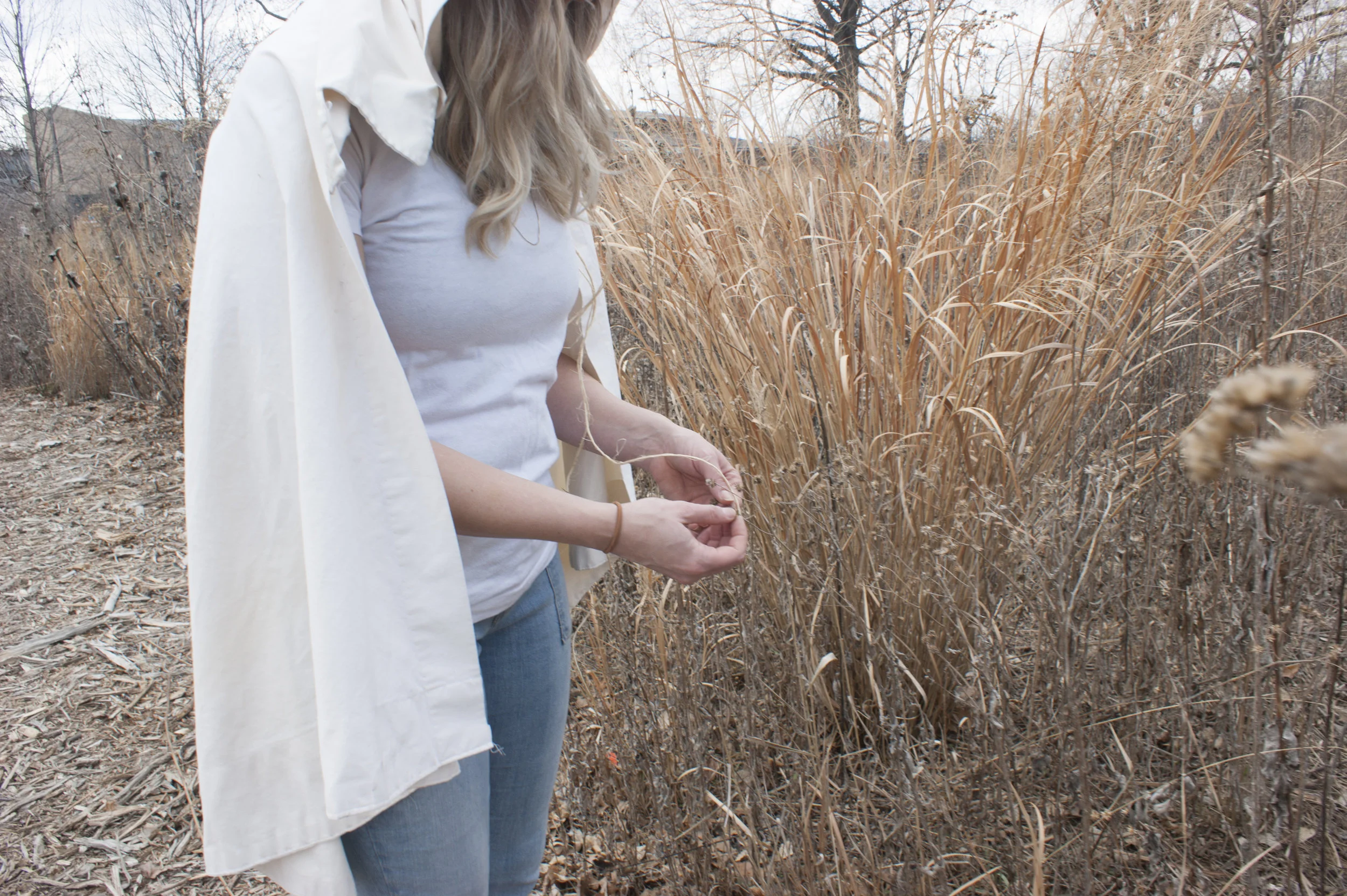 Prairie6.jpg