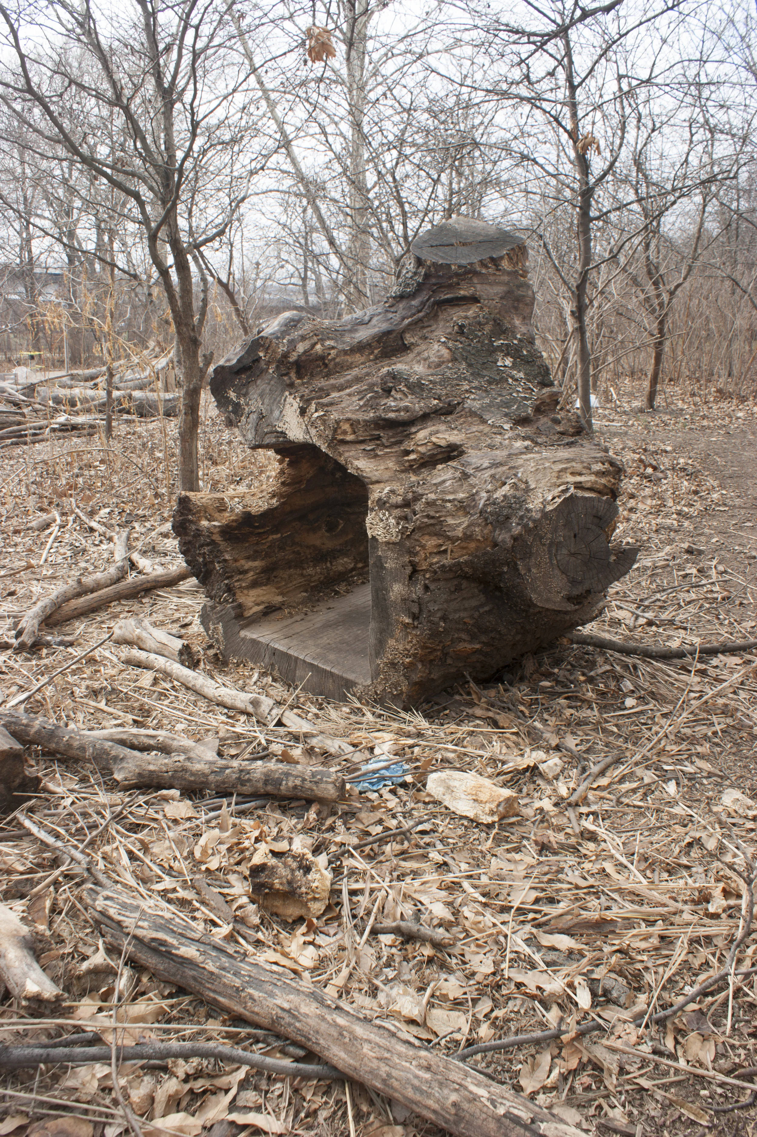 Prairie10.jpg