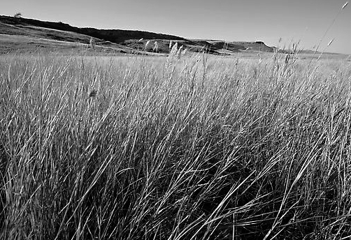 caab34000-bw.jpeg