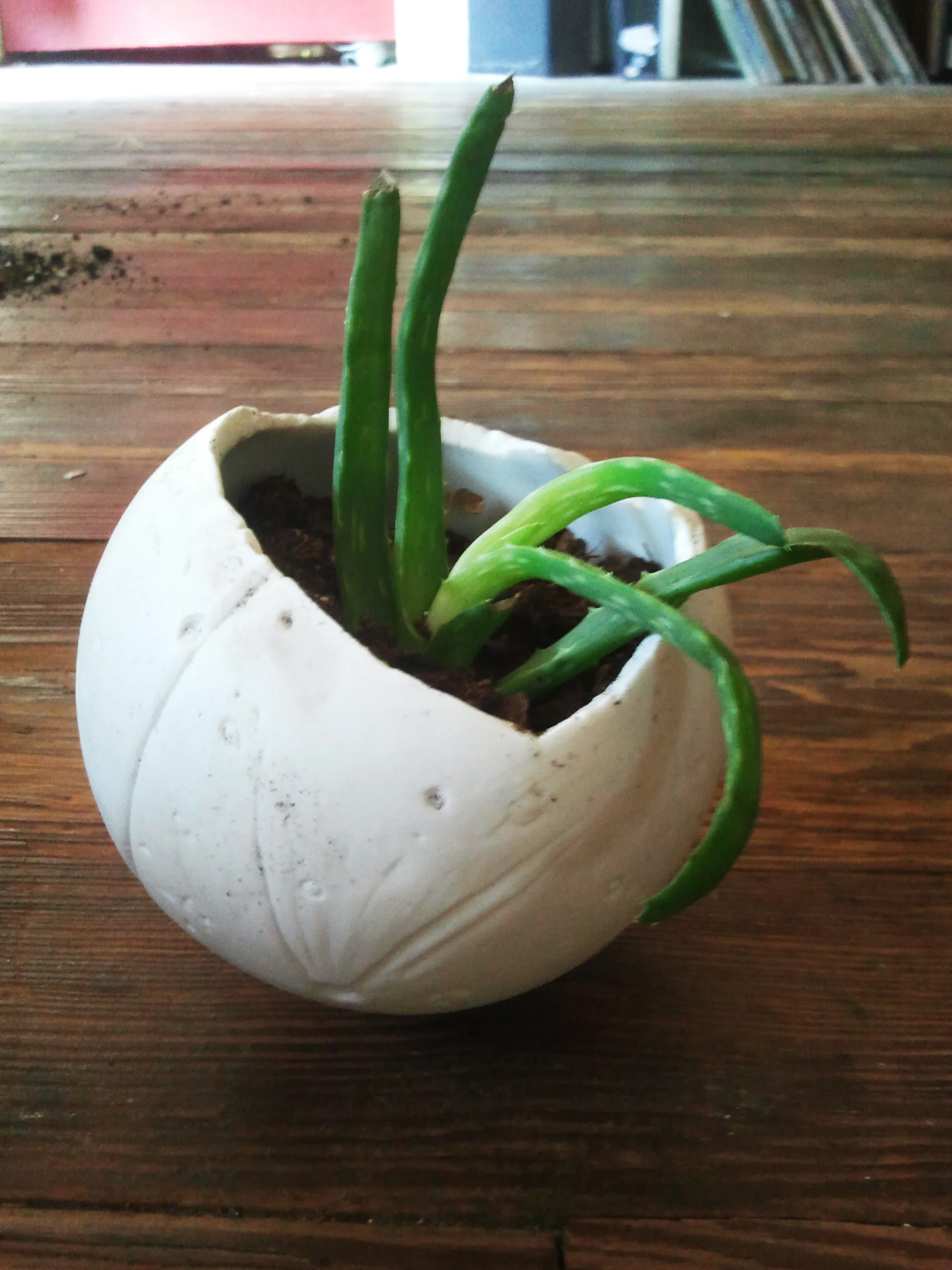 Ceramic6.jpg