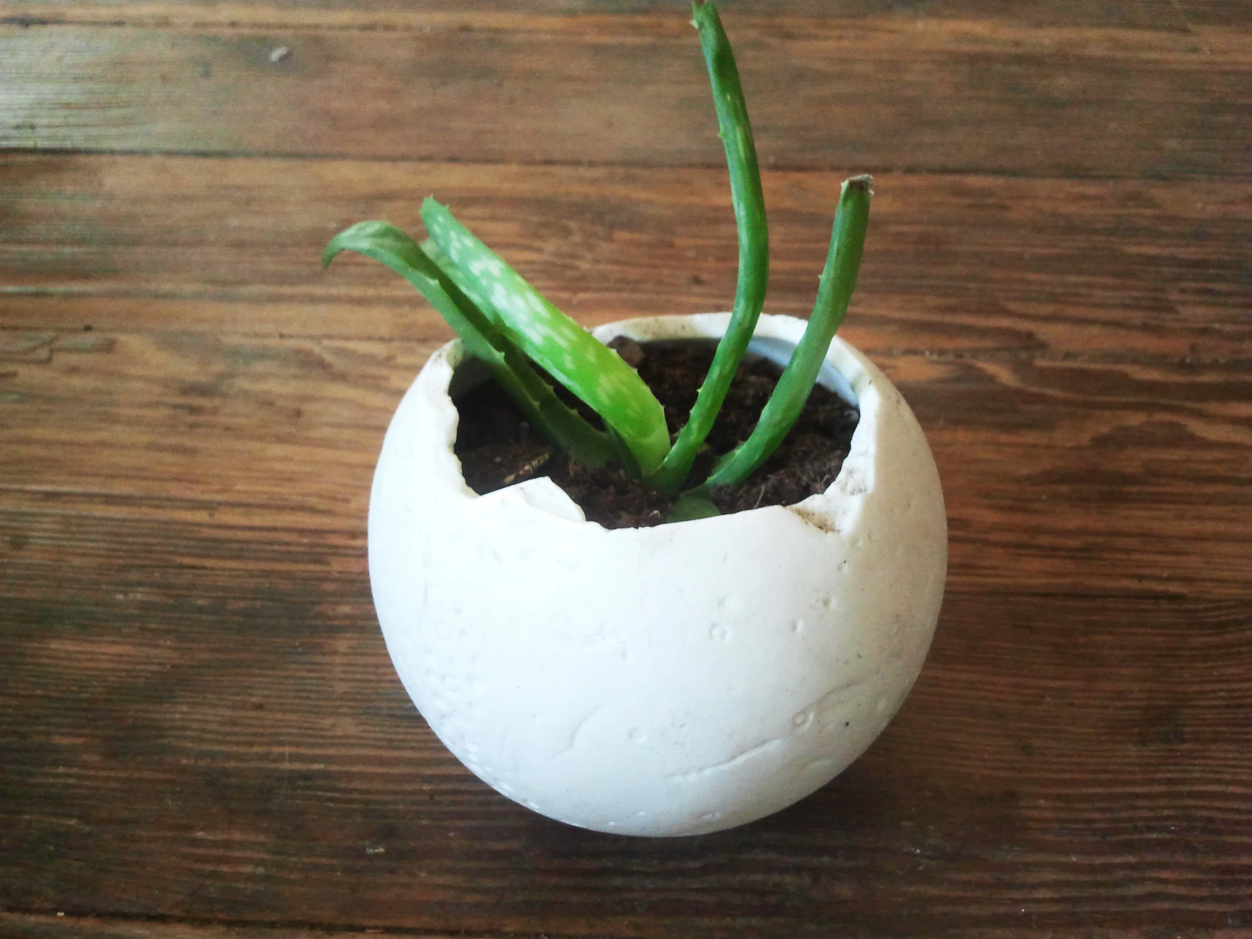 Ceramic7.jpg